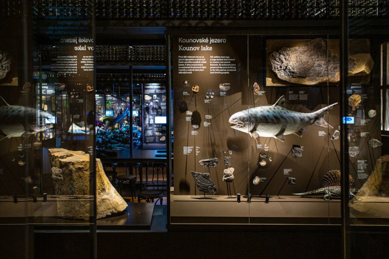 NM Příroda_Okna do pravěku12_©NM.jpg