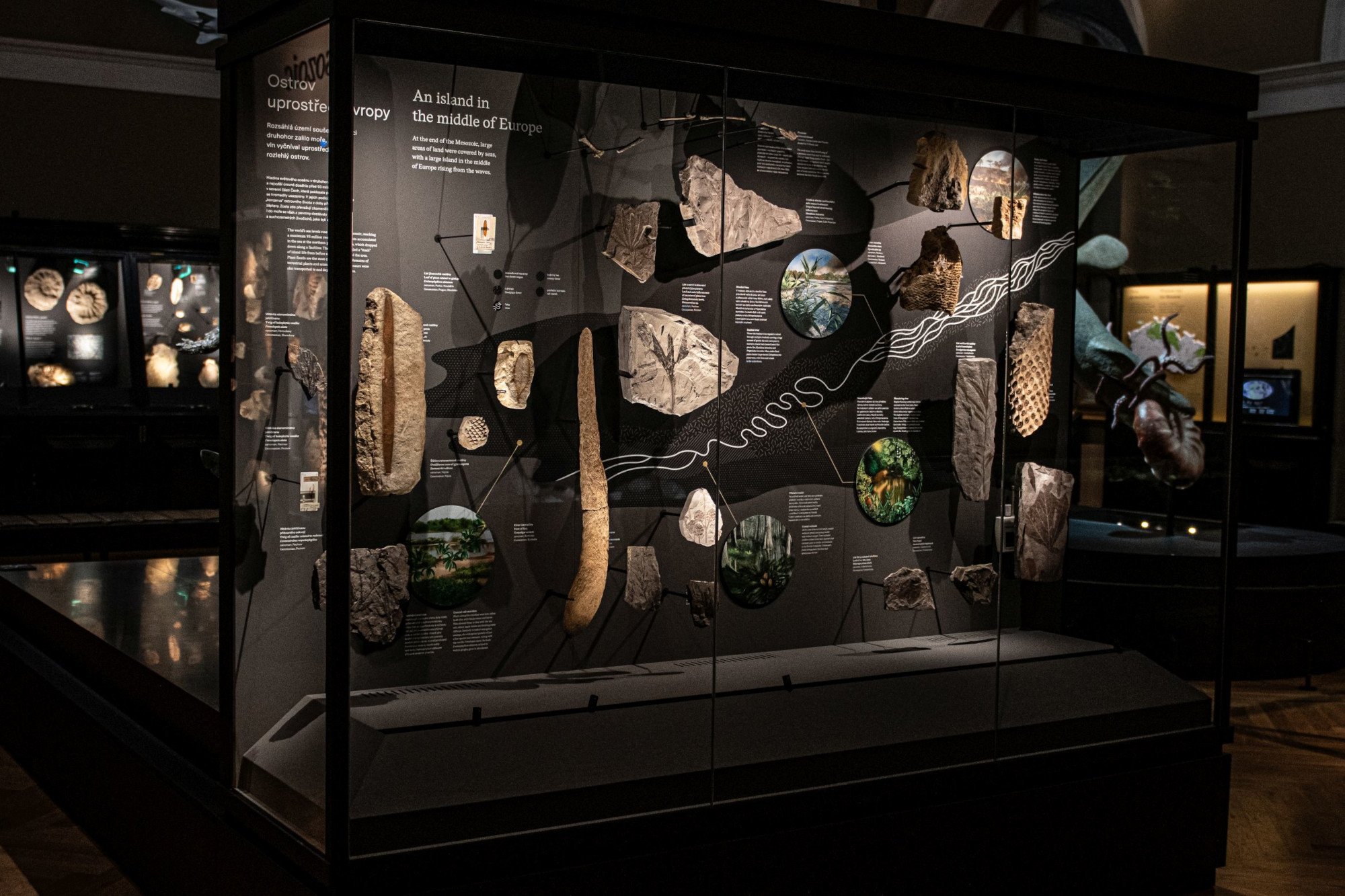 NM Příroda_Okna do pravěku08_©NM.jpg