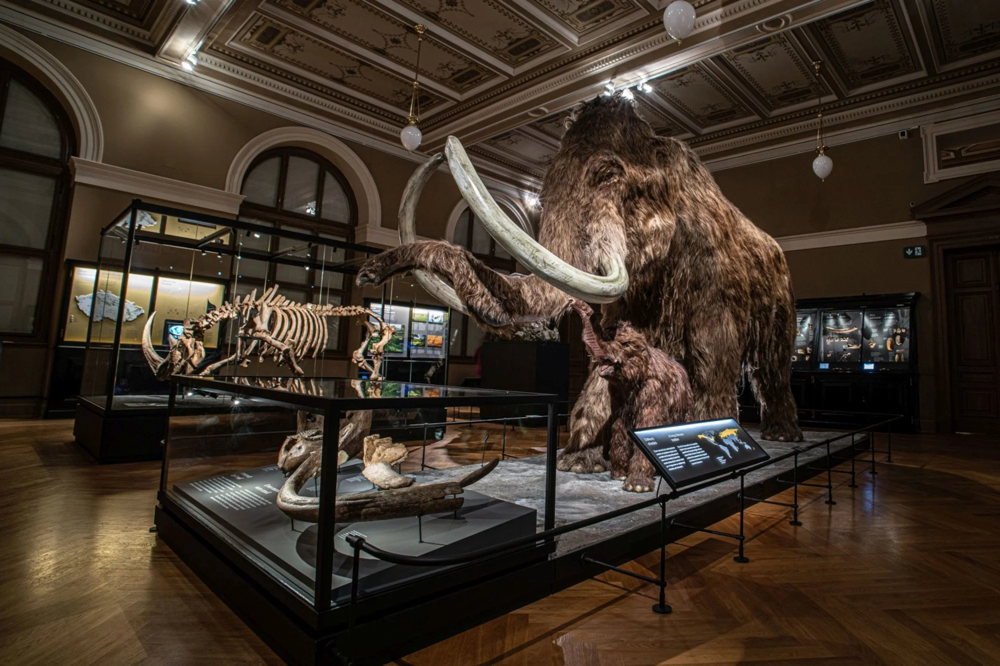 NM Příroda_Okna do pravěku01_©NM.jpg