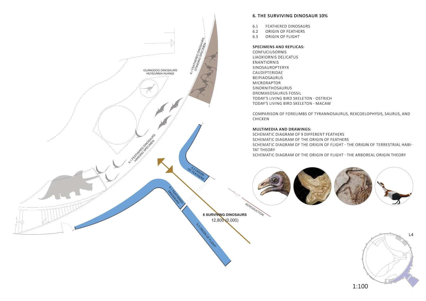 38 SURVIVING DINOSAURS.jpeg