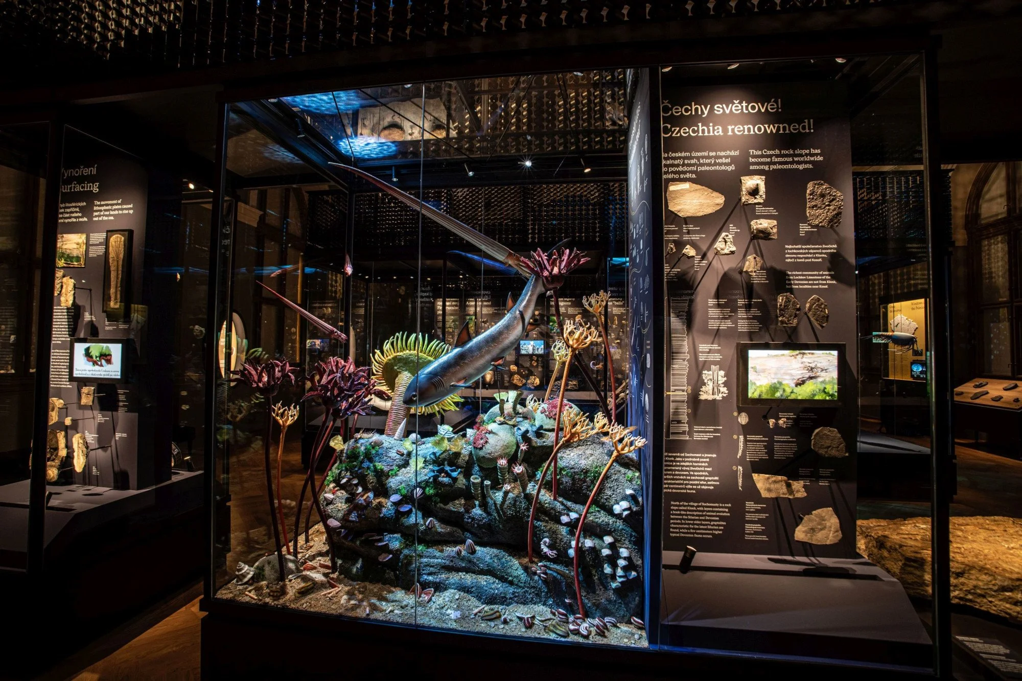 NM Příroda_Okna do pravěku14_©NM.jpg