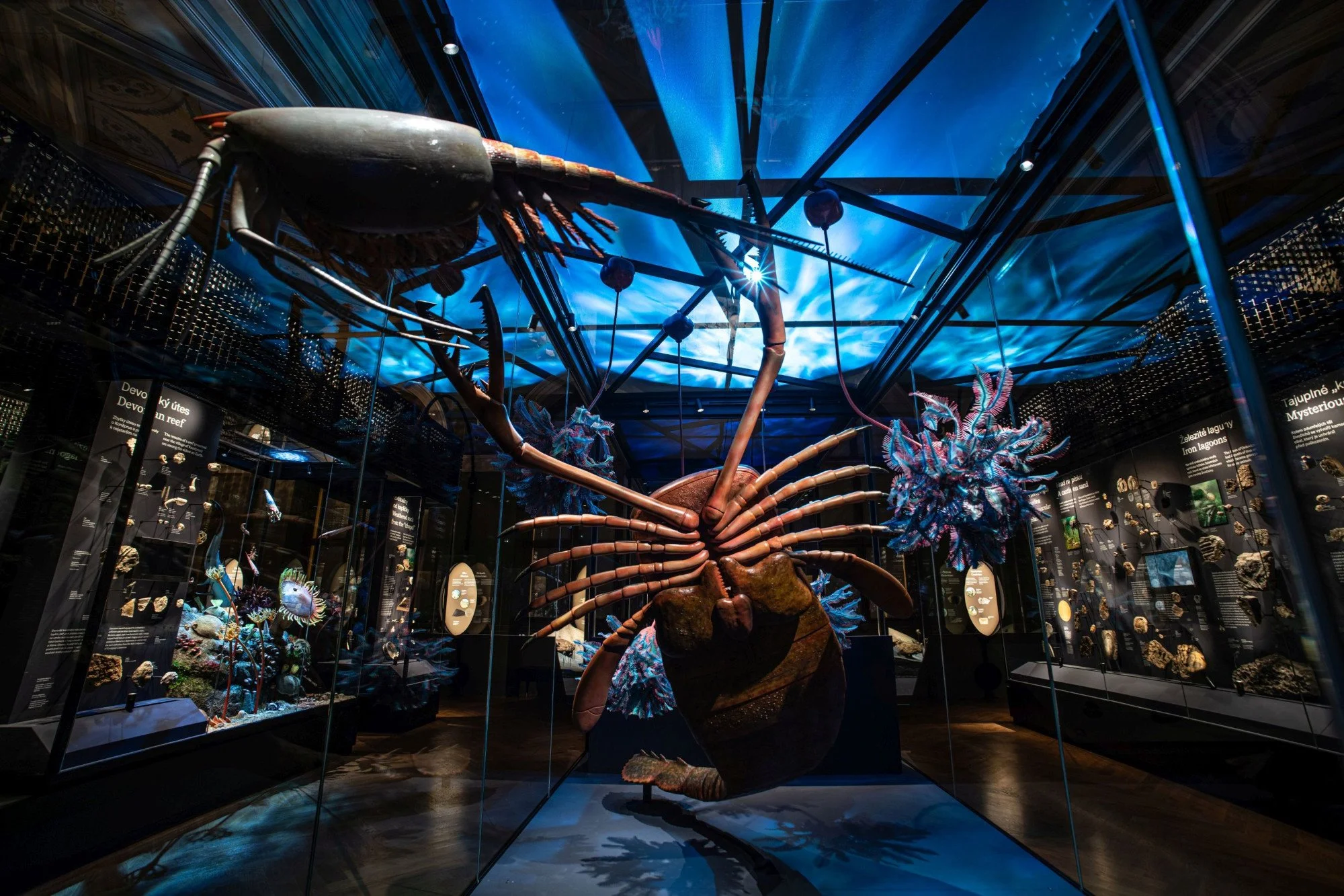 NM Příroda_Okna do pravěku11_©NM.jpg