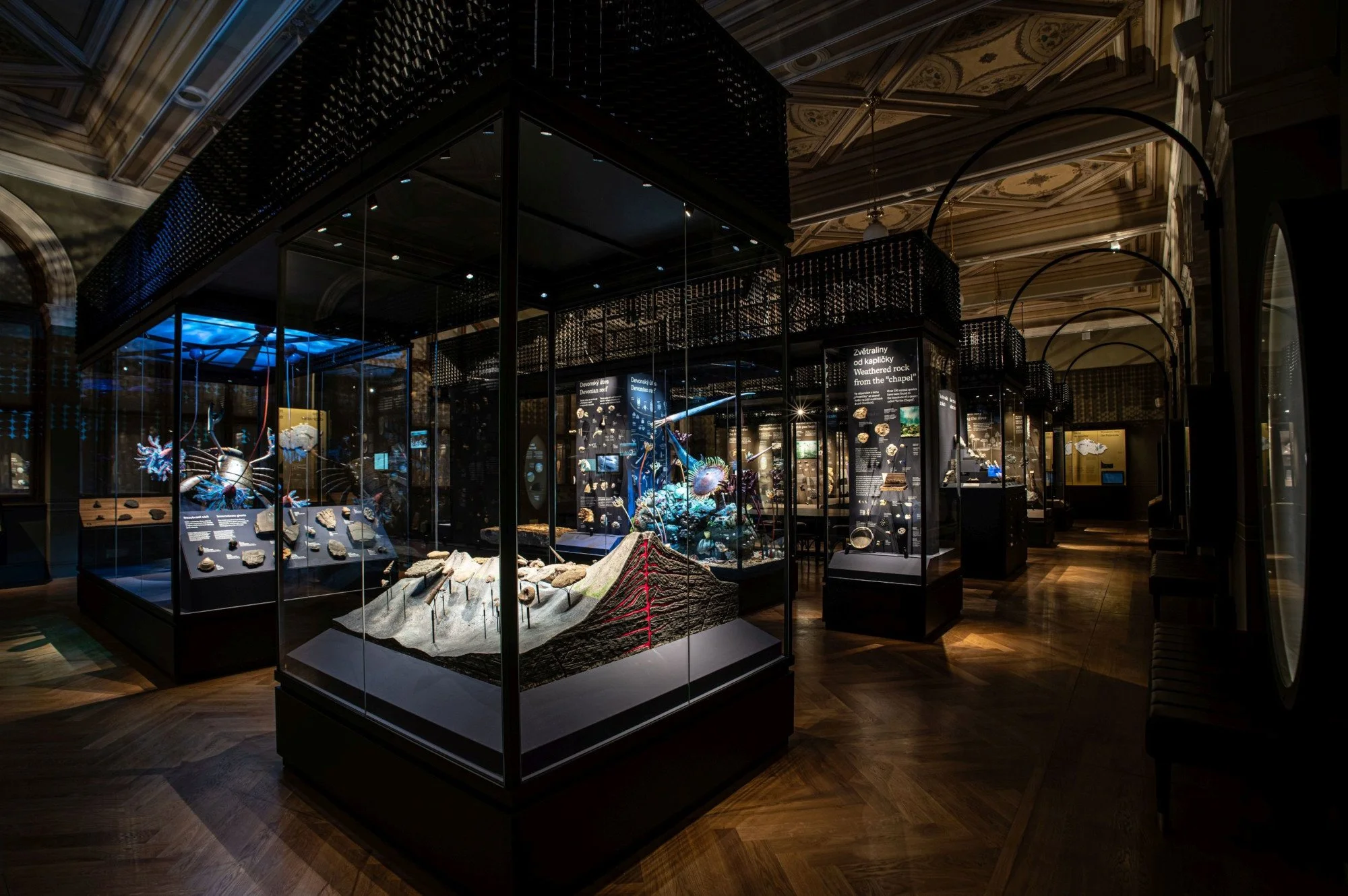 NM Příroda_Okna do pravěku13_©NM.jpg