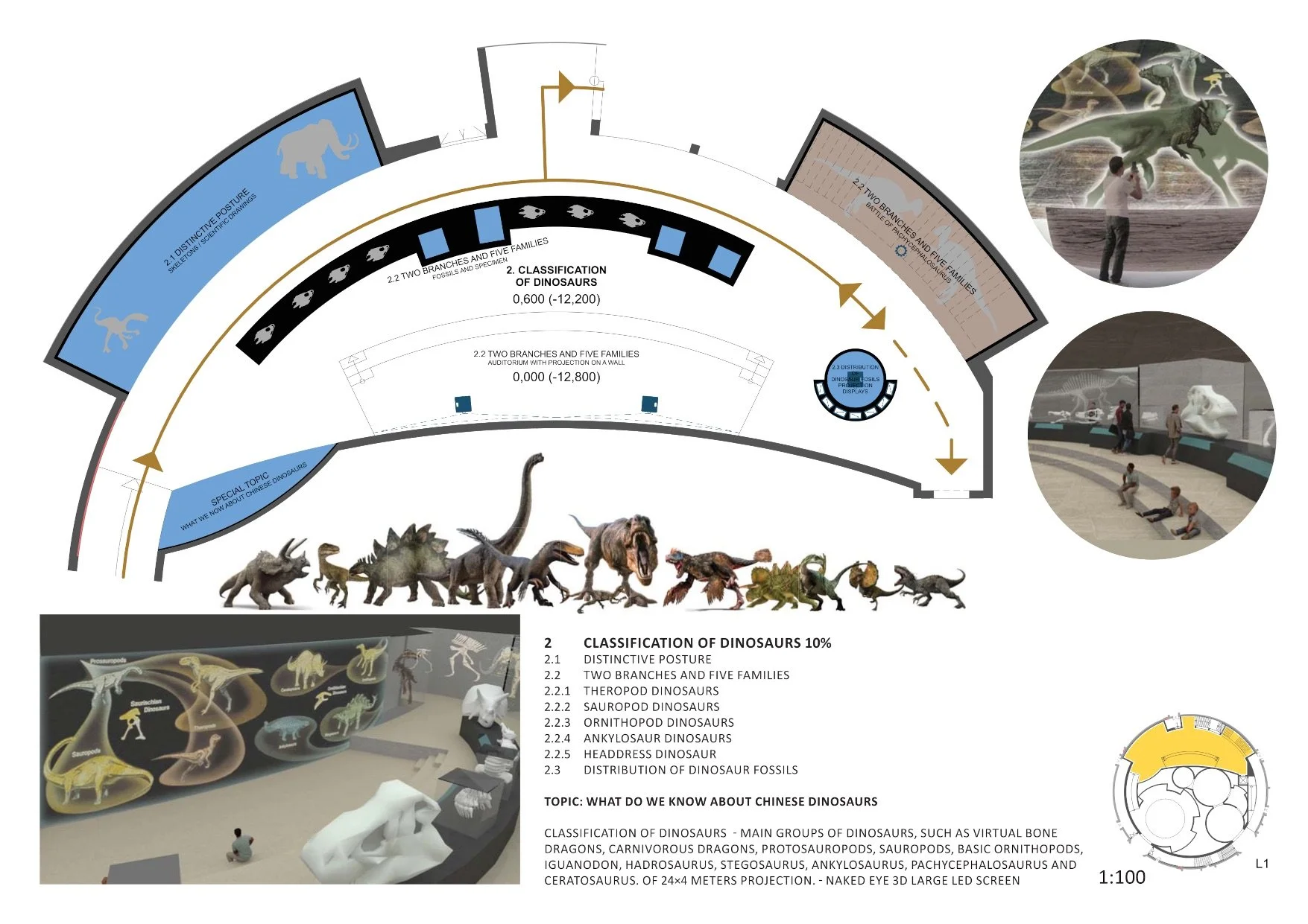 32 CLASSIFICATION OF DINOSAURS.jpeg