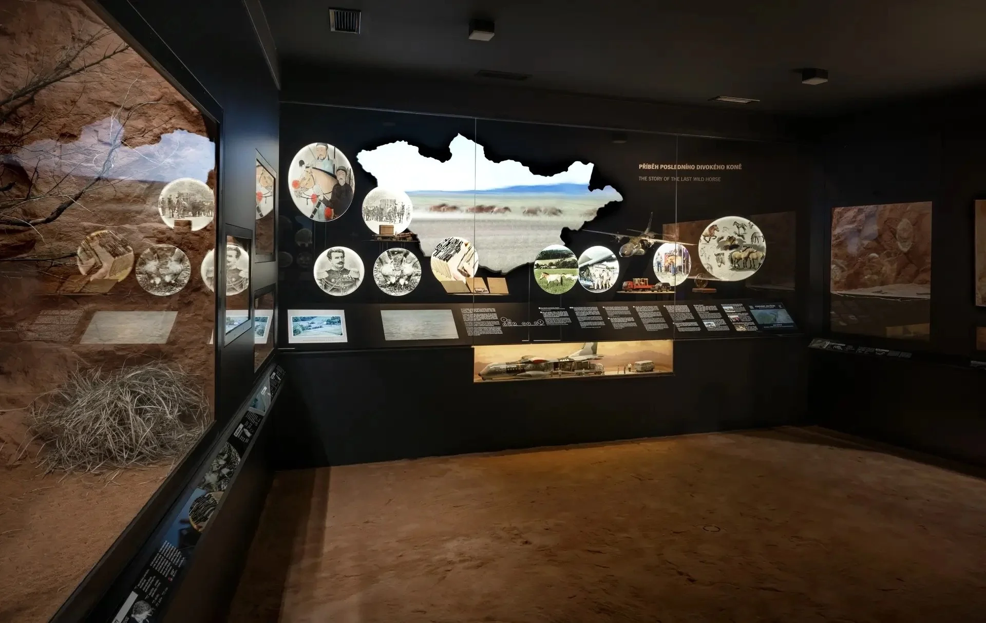 01 Pavilon Gobi.jpeg