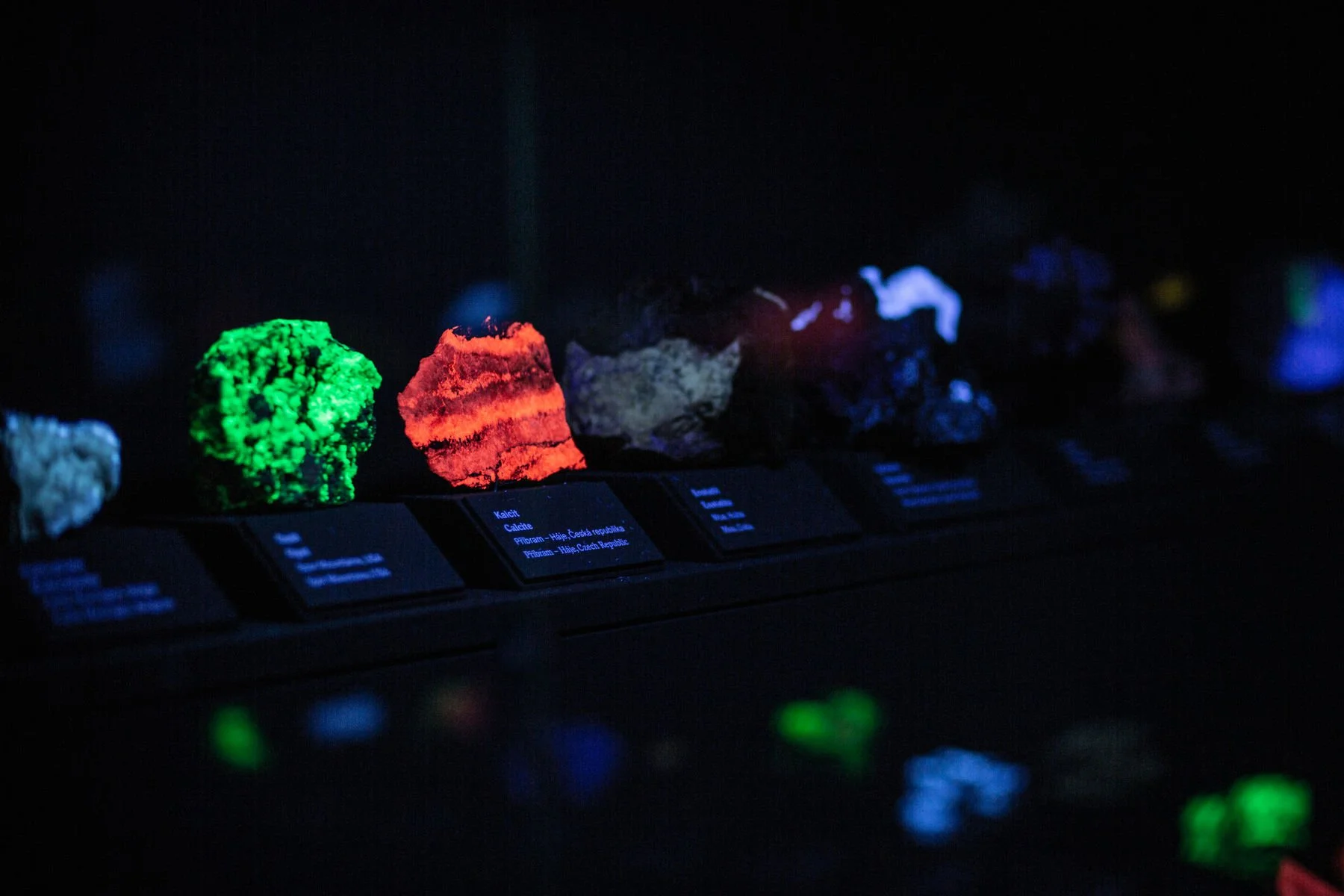 NM Příroda_Okna do pravěku18_©NM.jpg