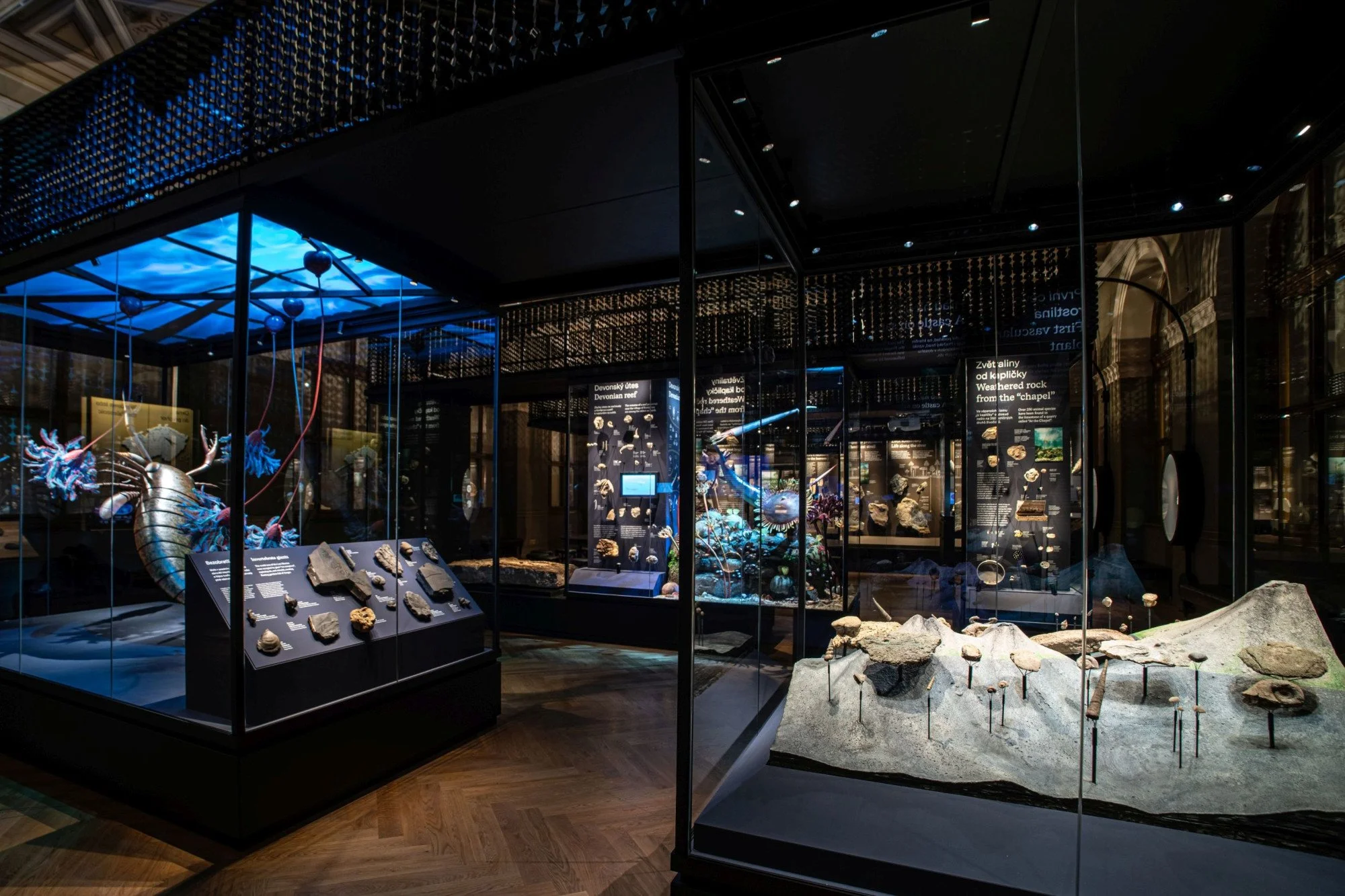 NM Příroda_Okna do pravěku10_©NM.jpg