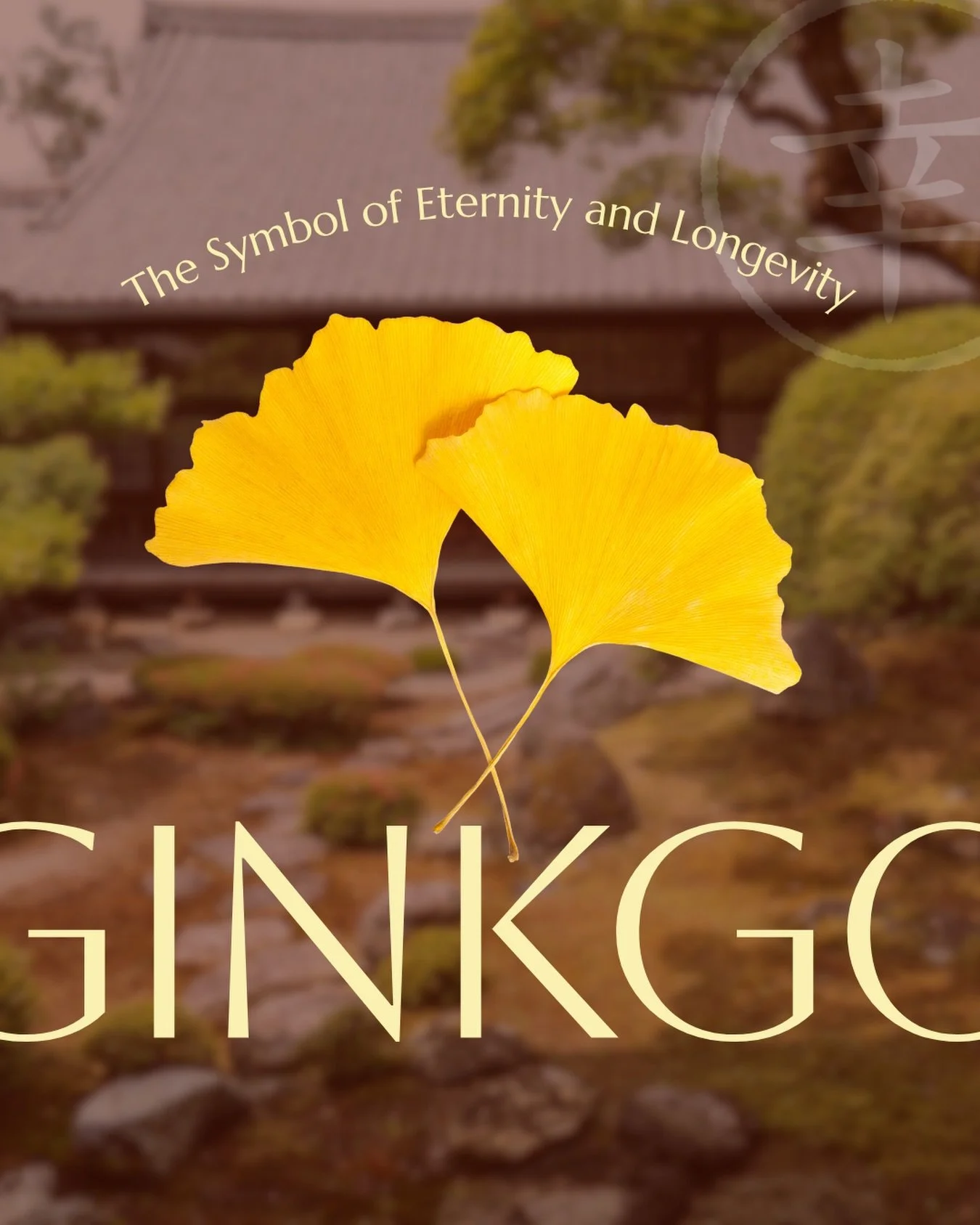 This is your sign to start using the ginkgo leaf symbol in your wedding stationery. 👀

With a lifespan that stretches for hundreds of years, the ginkgo tree has long been a beautiful symbol of longevity, resilience, and eternal love. 💛

Get inspire