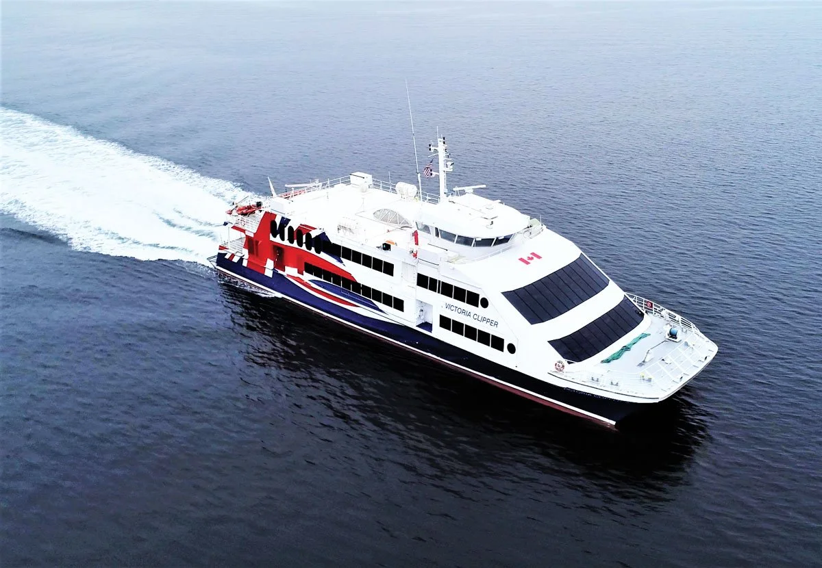 Creative Direction Holly Robins Owner Wildern Design & Interactive