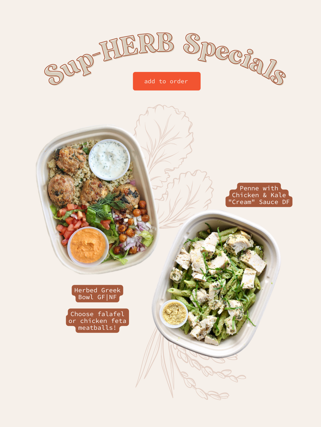Copy of TEAM AMP CANVA (3).png