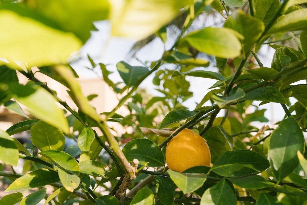 How to sell a digital course with no experience