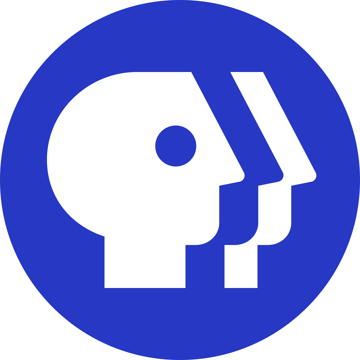 PBS logo, representing a national media organization and past event photography client of 859 Photography in Lexington, KY.