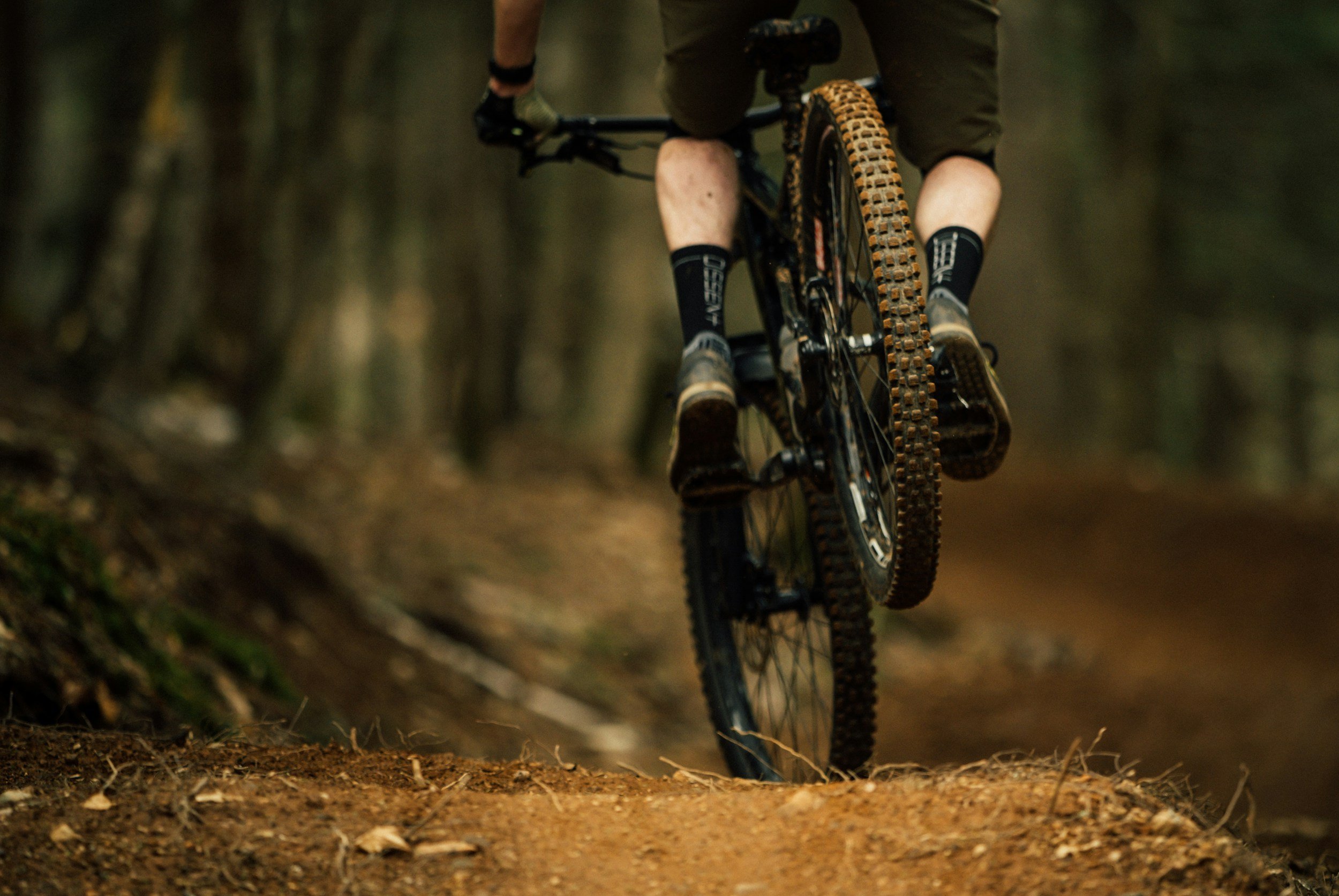 Close-up of a person riding a mountain bike on a dirt trail in a forest.