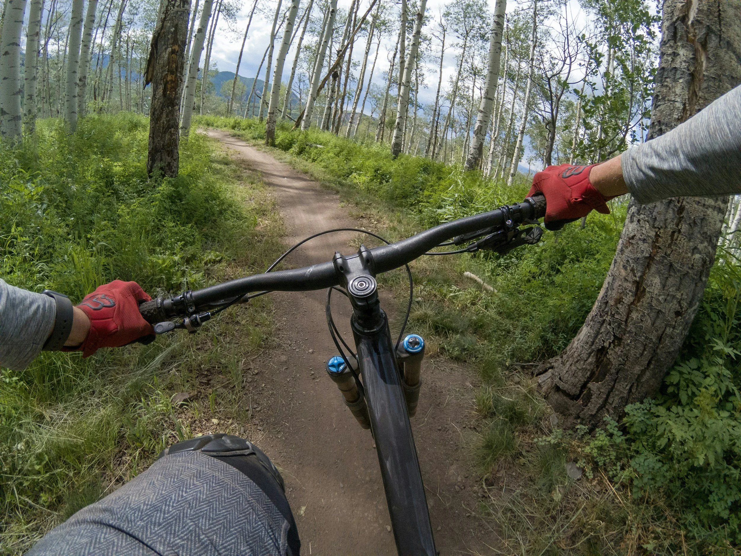 First-person view of a person mountain biking on a dirt trail through a forest of tall aspen trees, with green foliage on either side and mountains in the distance.