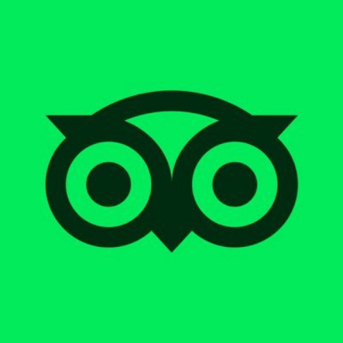 A black owl-shaped logo on a green background.