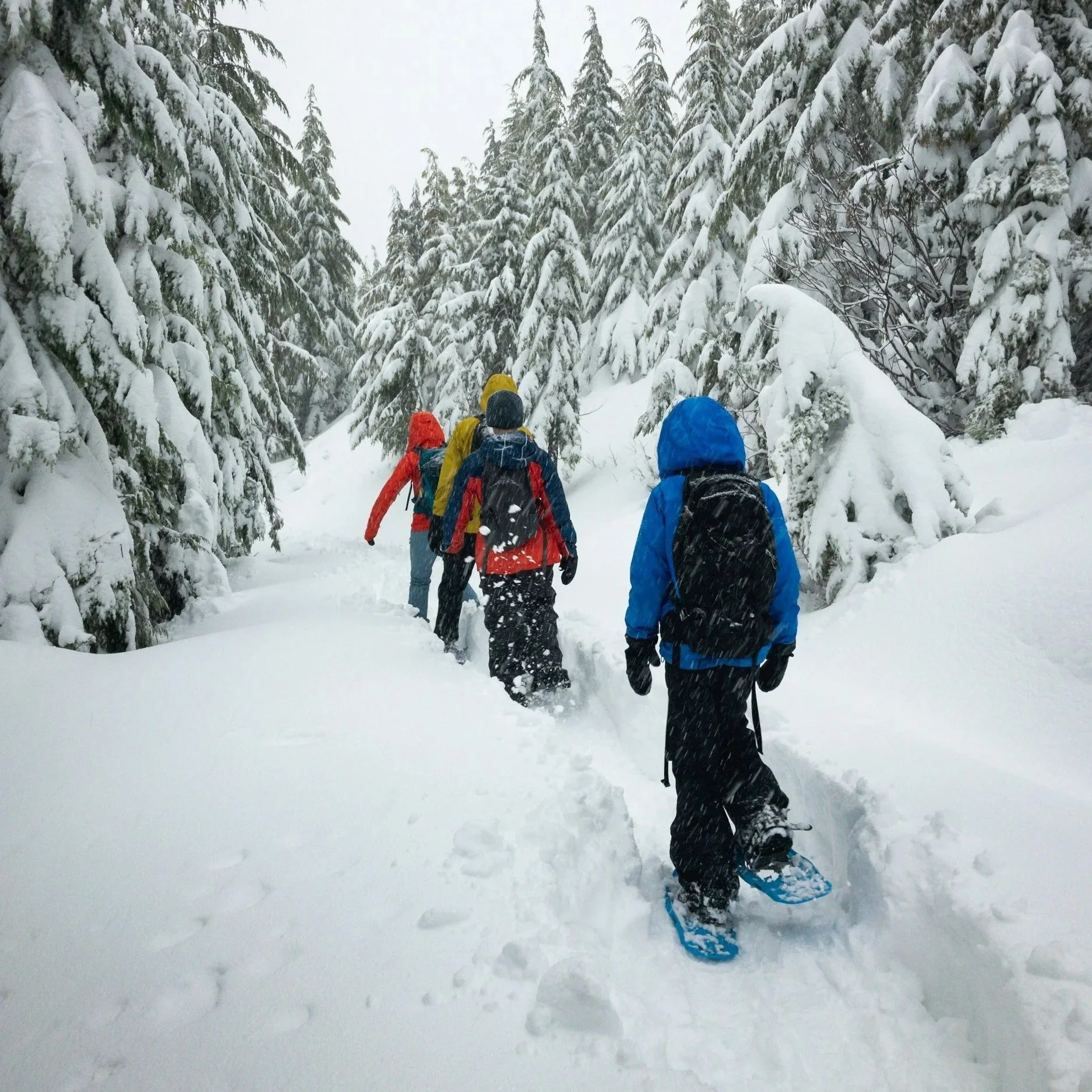 A group of five people wearing winter jackets, snow boots, and backpacks snowshoeing through a snowy forest with snow-covered trees.