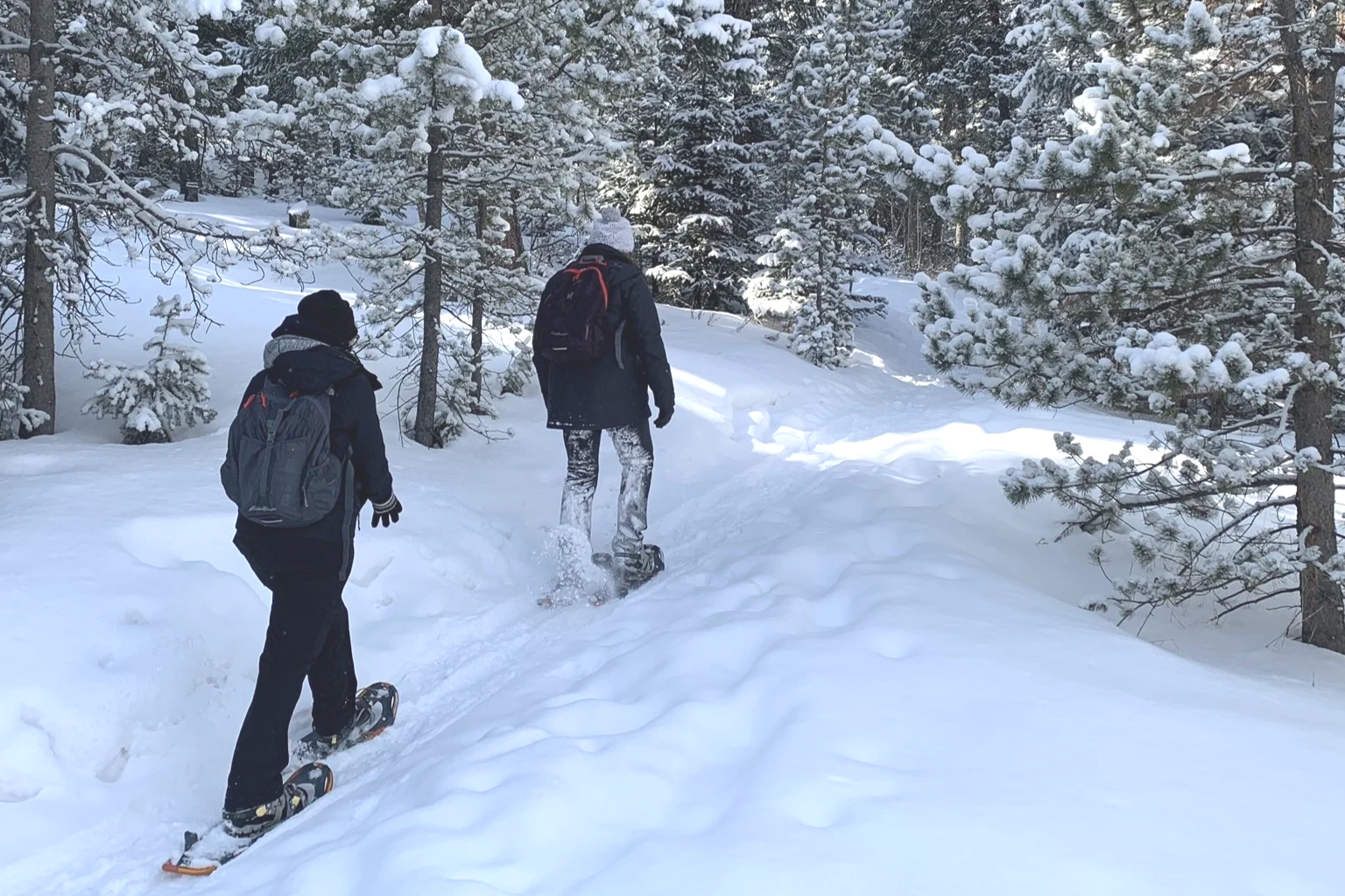 Two people hiking in a snowy forest, wearing winter gear and snowshoes.