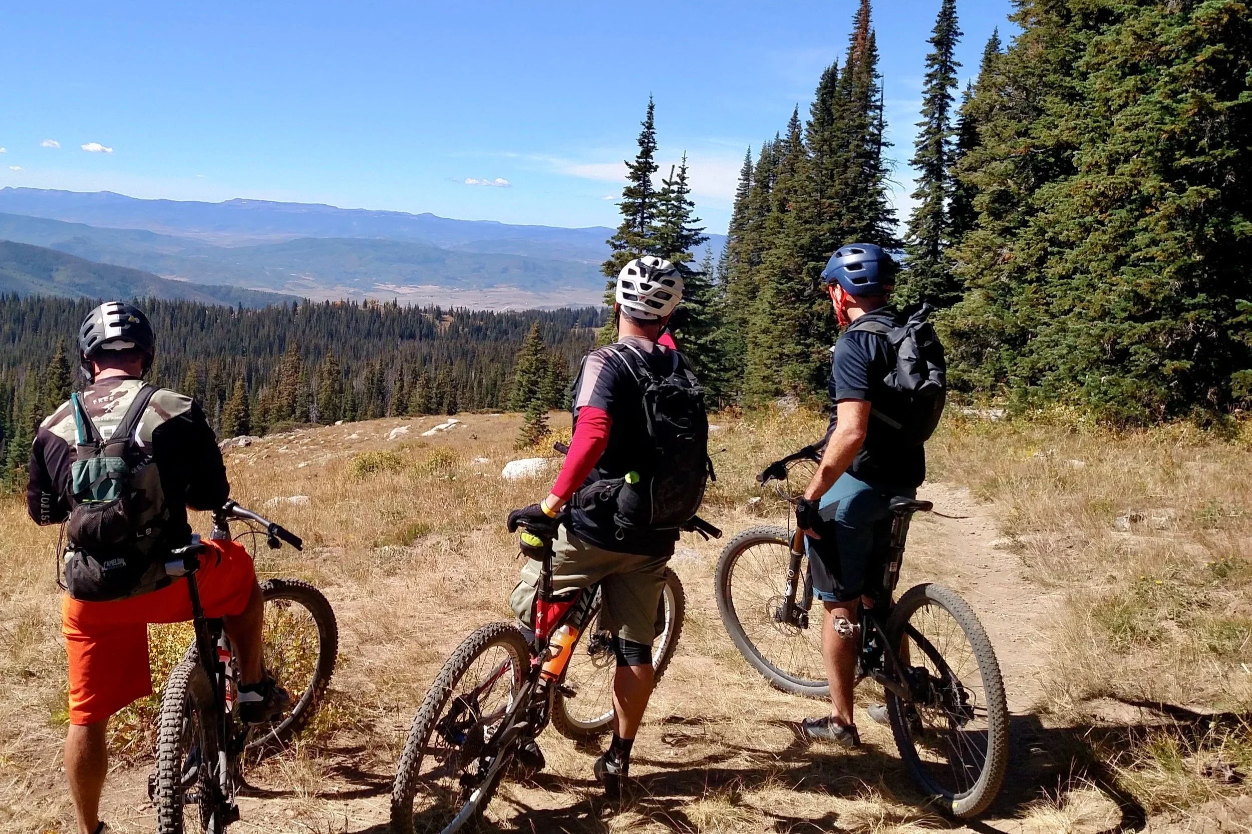 Three bikers in mountain gear on a trail overlooking a forested mountain landscape with a clear blue sky.