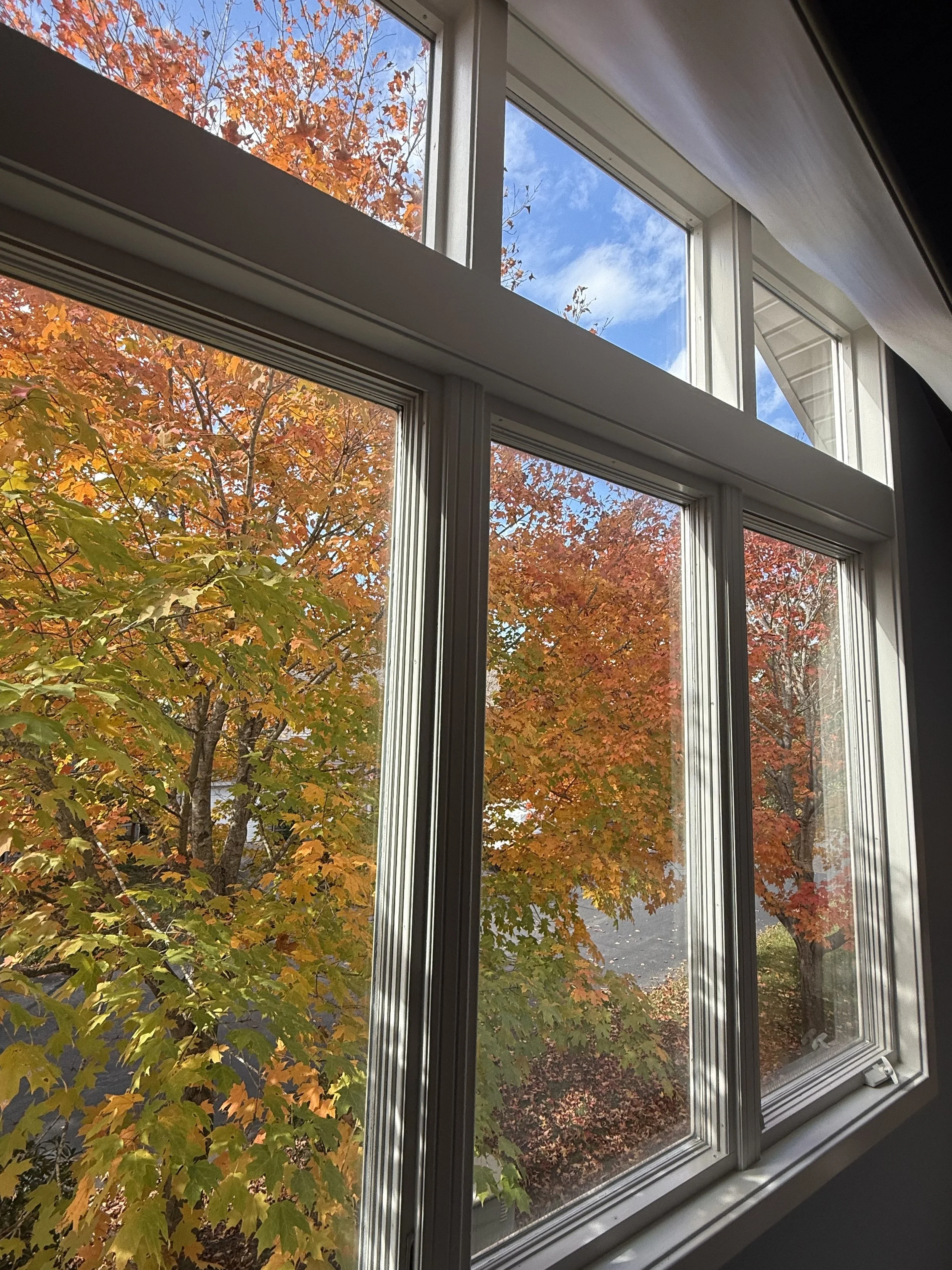 View of trees with colorful autumn leaves outside a window with white frame and divided panes, under a partly cloudy sky.