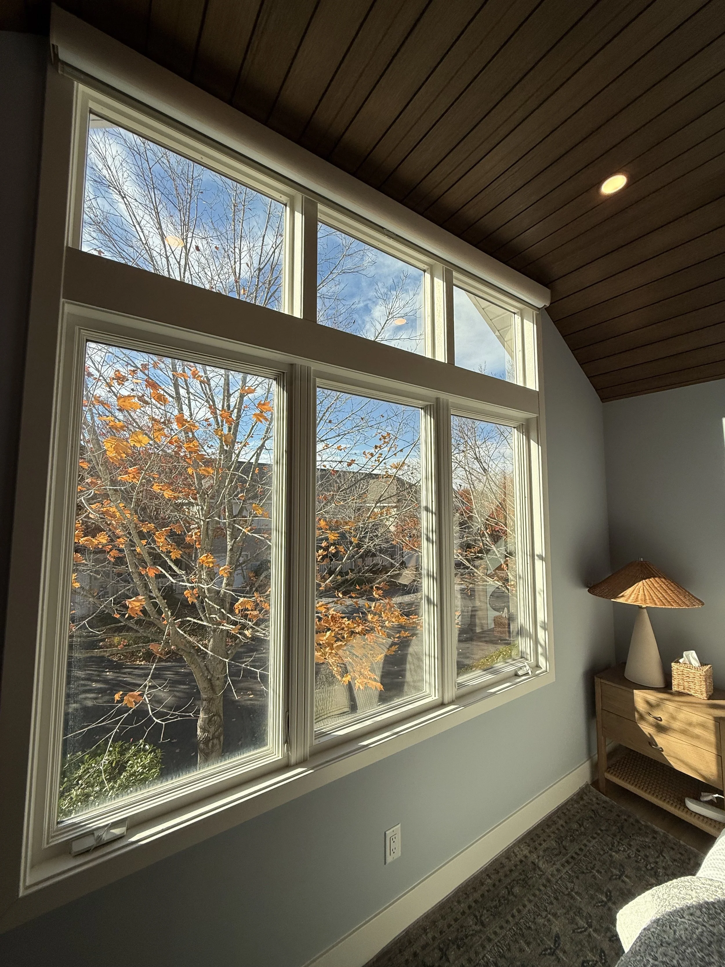 View of a large window with a tree outside showing autumn leaves, in a room with a wooden ceiling and a small wooden side table with a lamp and tissue box.