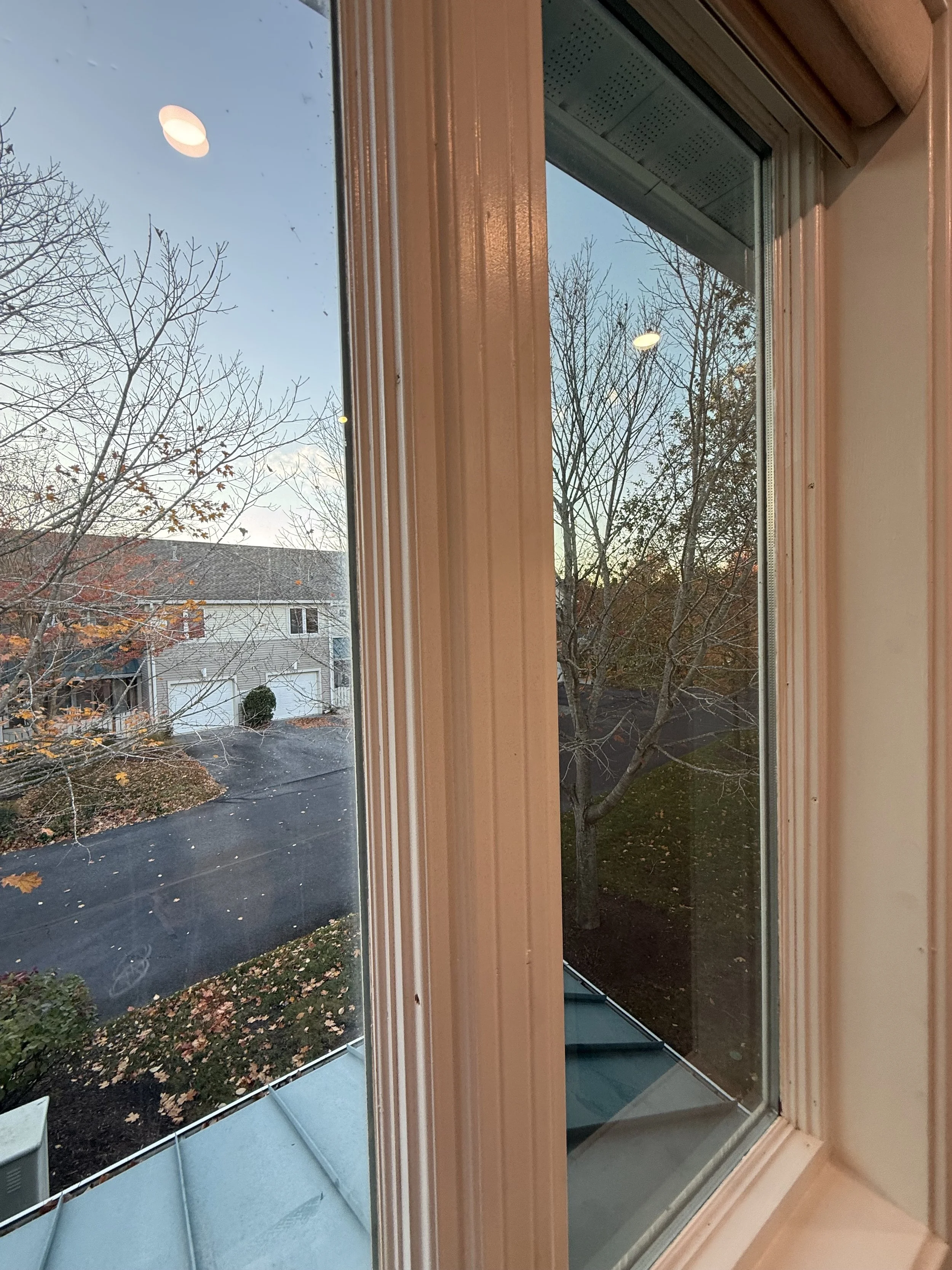 View of suburban neighborhood through a window, showing leafless trees, houses with garages, and fallen autumn leaves on the ground, taken during early evening.