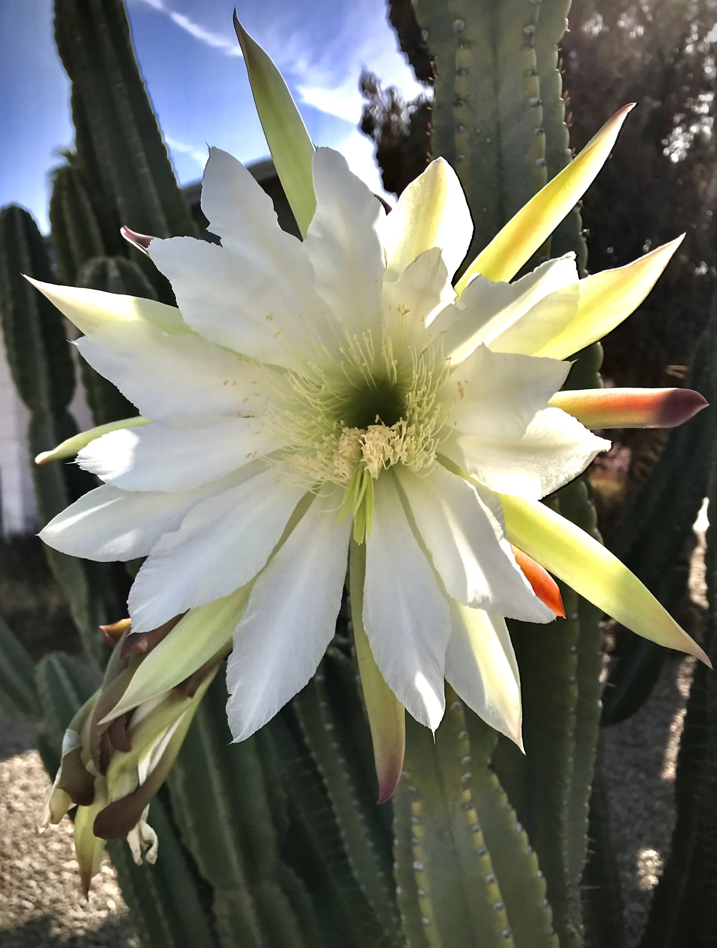 The Hard work of transformation