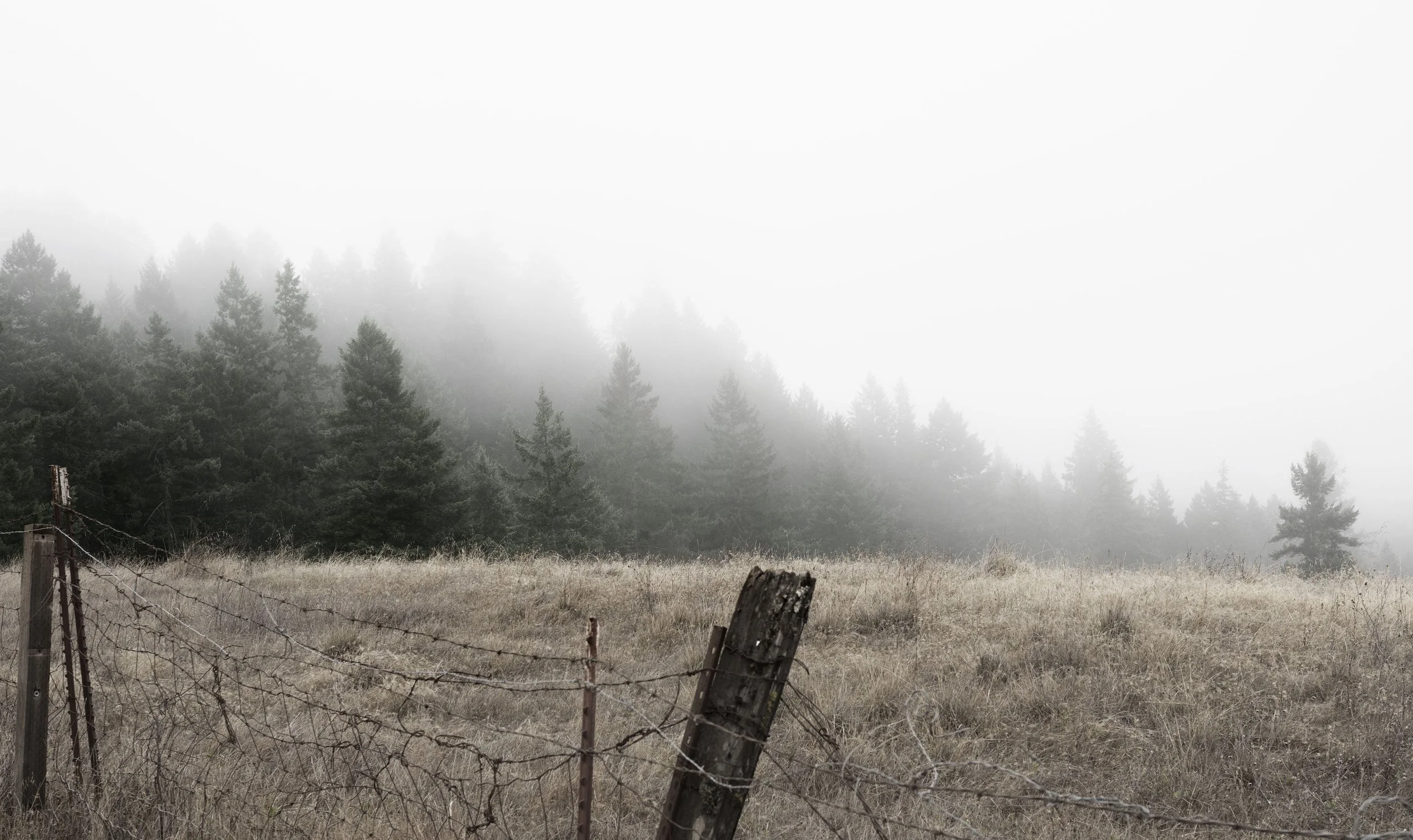 _DSC3086c copy (1).jpg