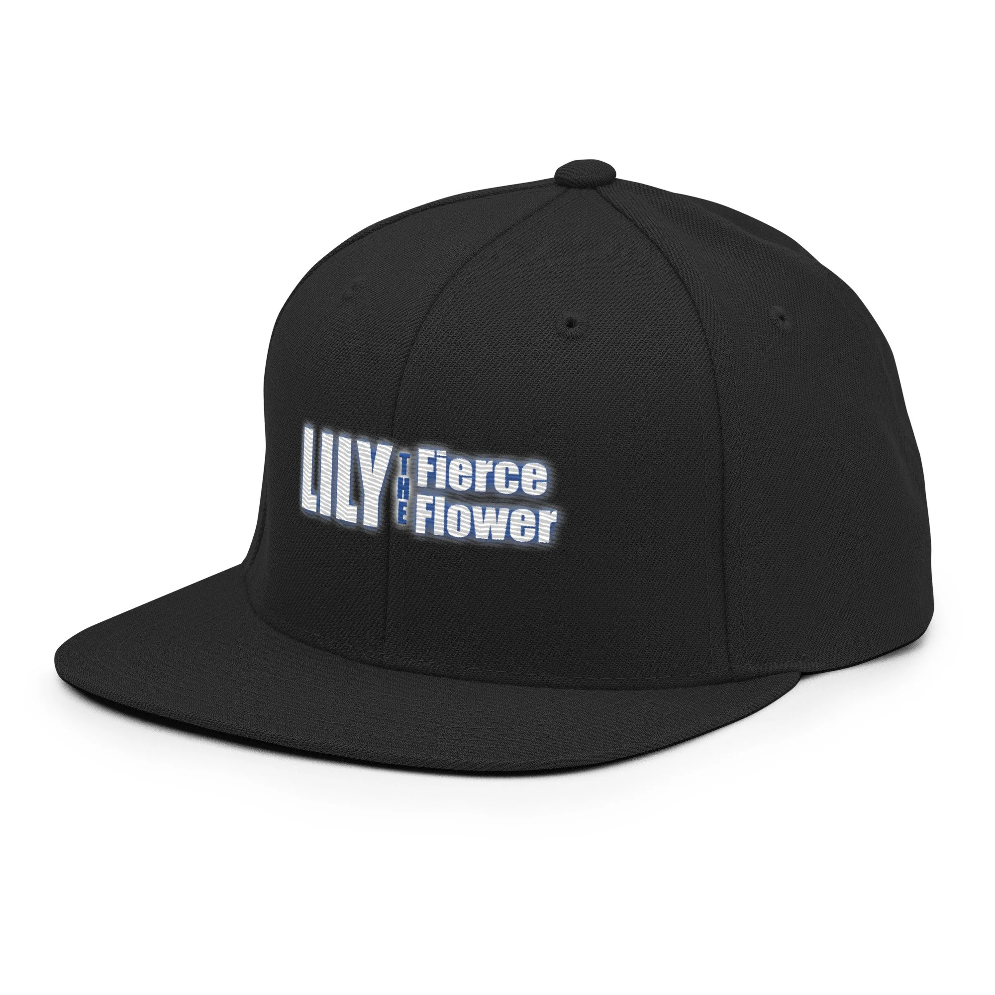 classic-snapback-black-left-front-6a768604a3b15.jpg