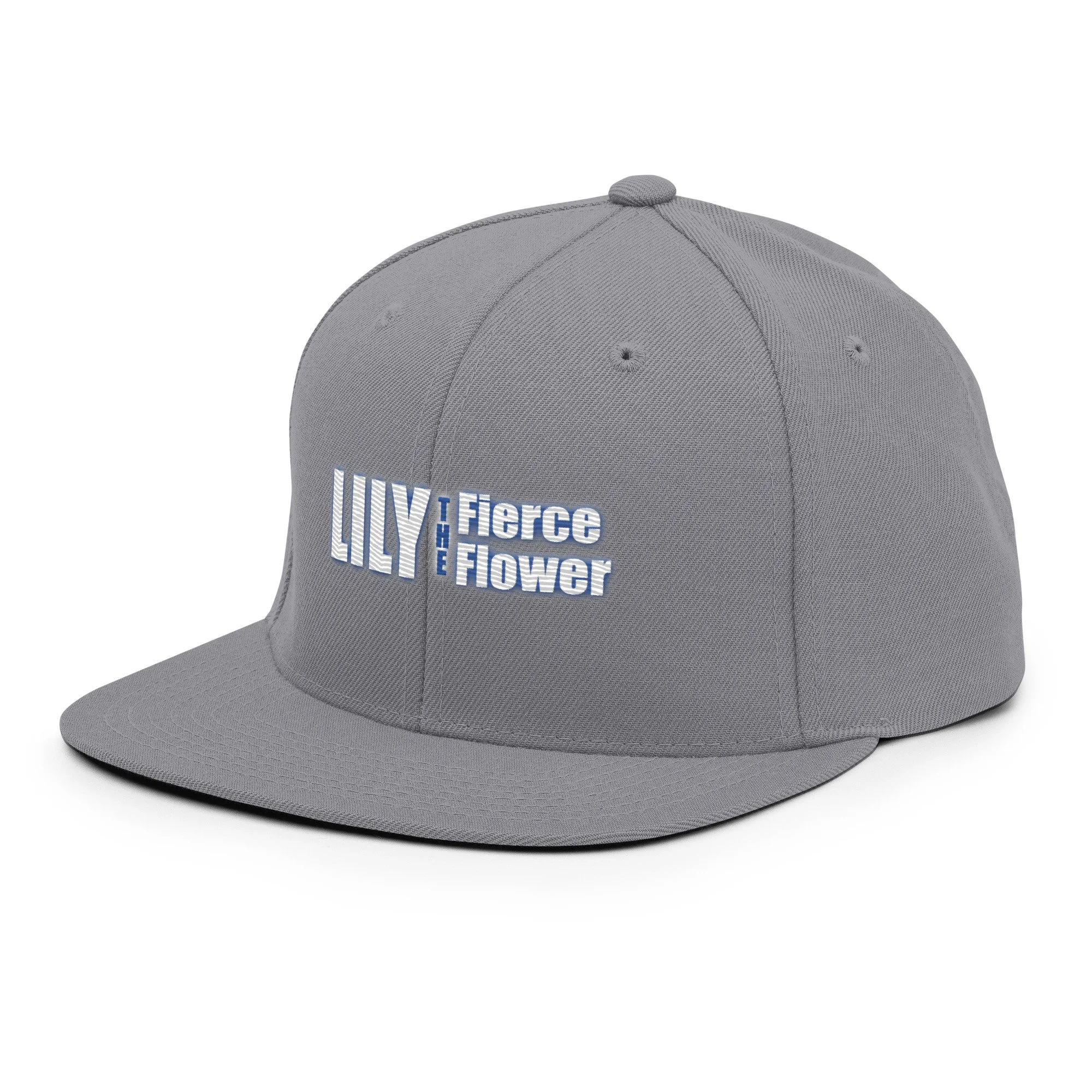 classic-snapback-silver-left-front-6a768604a3b97.jpg