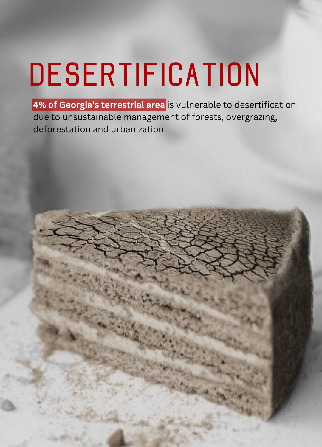 Tsotne Dadiani of cakes