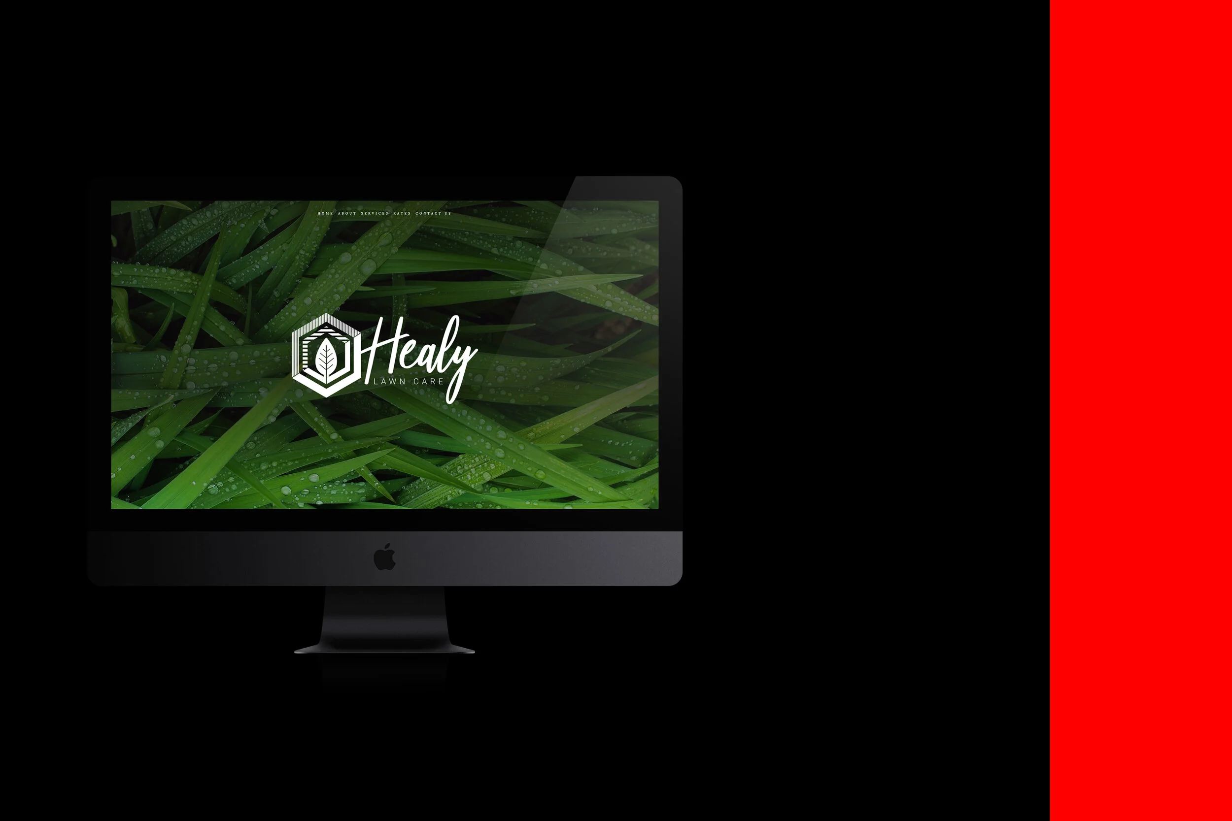 Computer screen displaying the Healy Lawn Care logo with green grass and dew drops background.