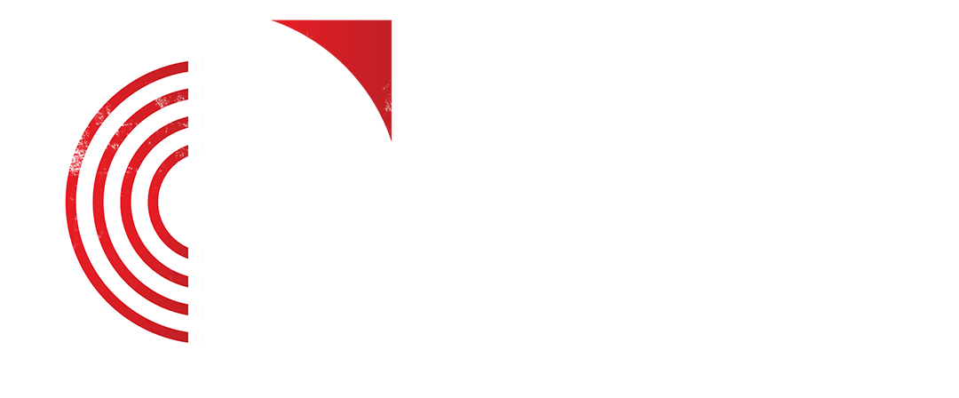 Logo for Disc Den with a circular graphic element and the words "DISC DEN" in bold white letters.