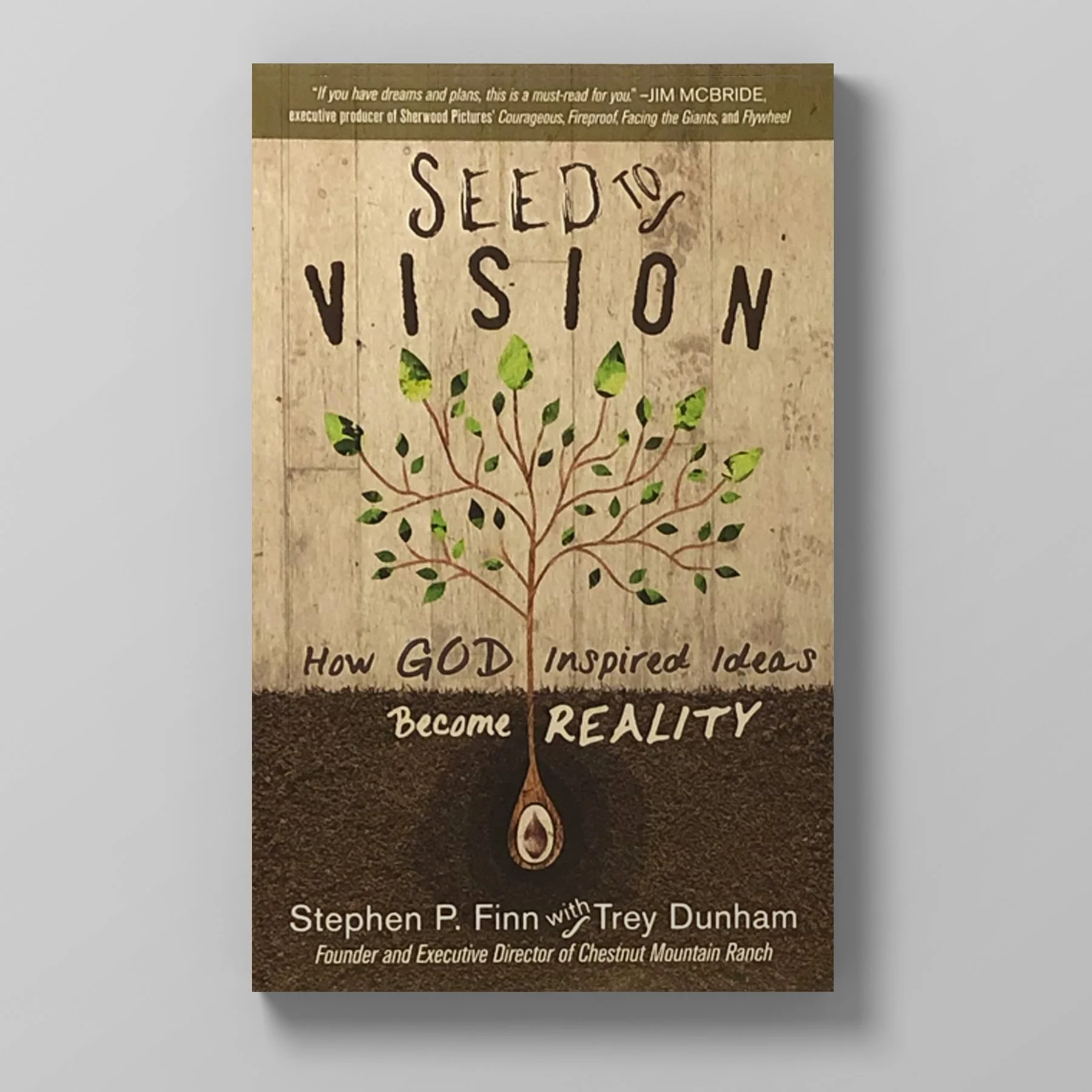 Book cover titled 'Seed to Vision: How God Inspired Ideas Become Reality' by Stephen P. Finn with Trey Dunham, featuring a tree with green leaves and roots.