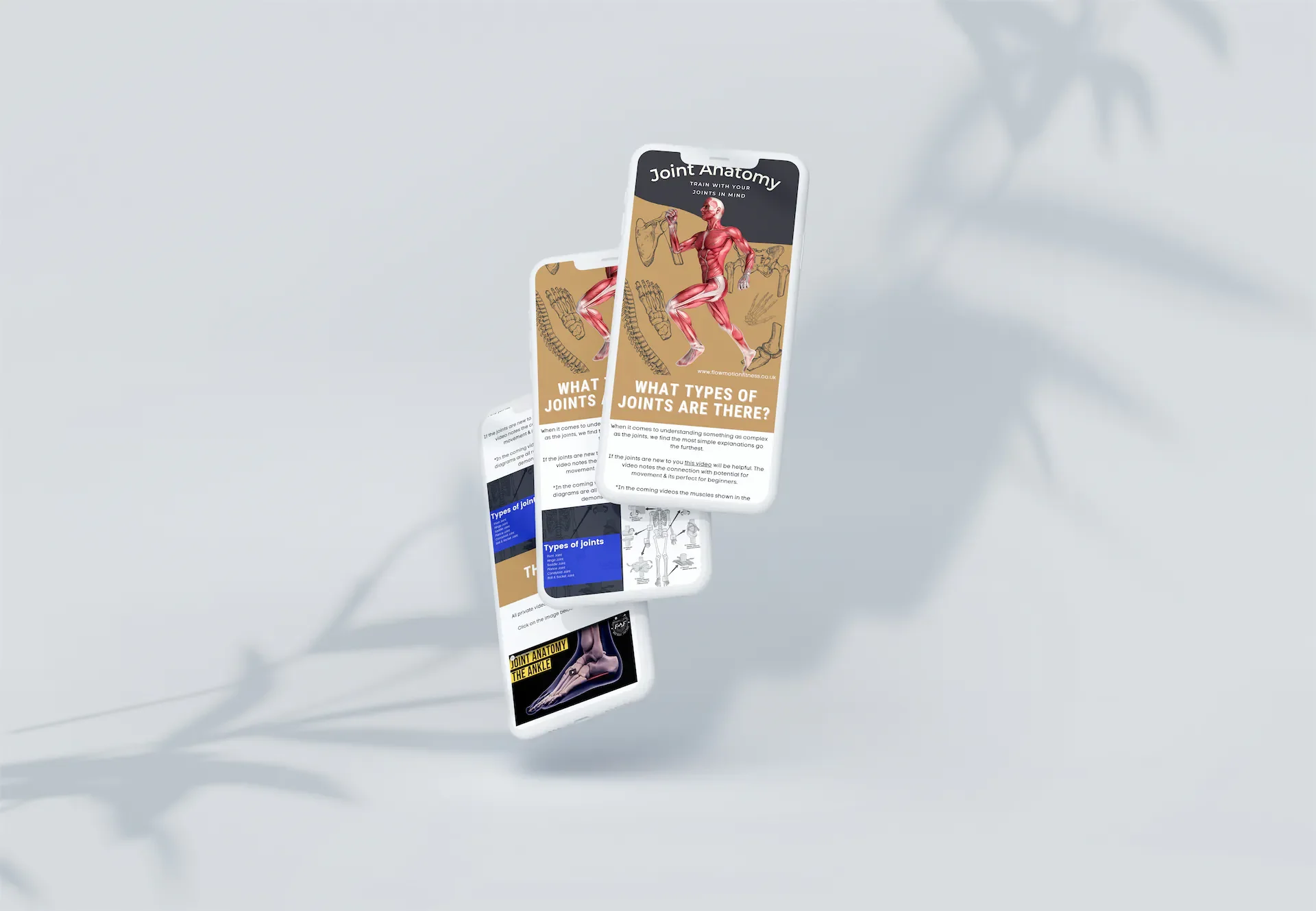 Beginners Mobility Course PDF  (Program +  Educational  Course) 2025