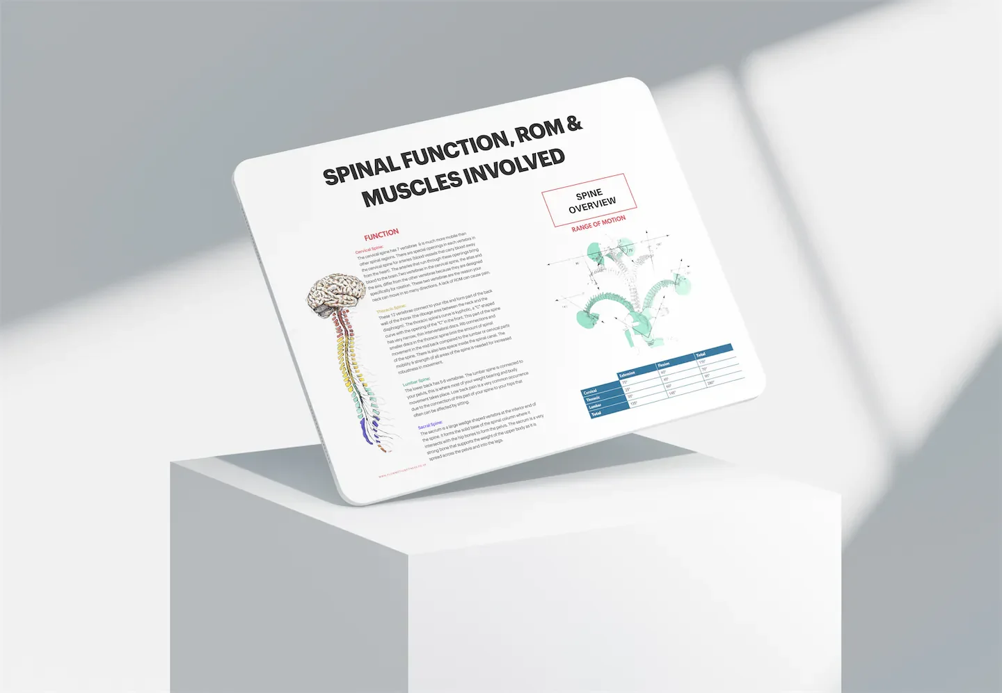 Spinal Workshop (Replay)