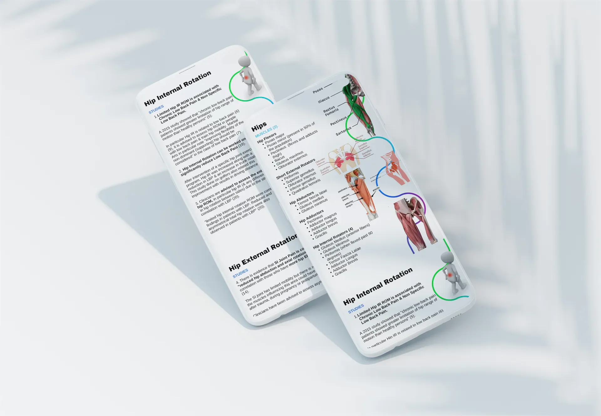 Mobility Training & Low Back Pain Course