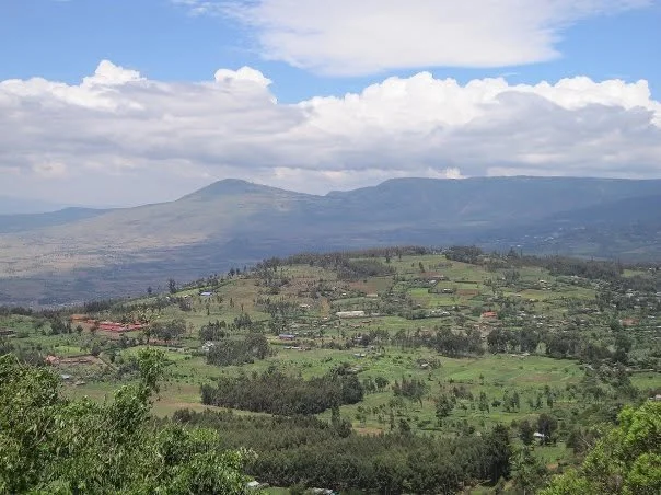 njabini3.jpg