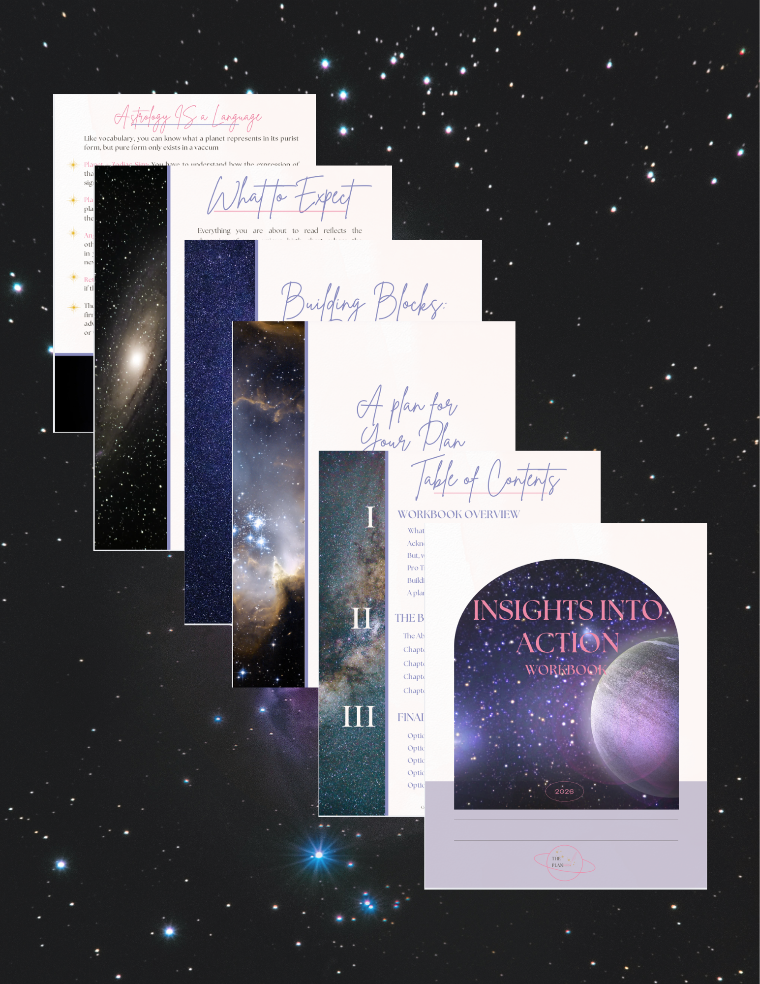 The Insights into Action Workbook