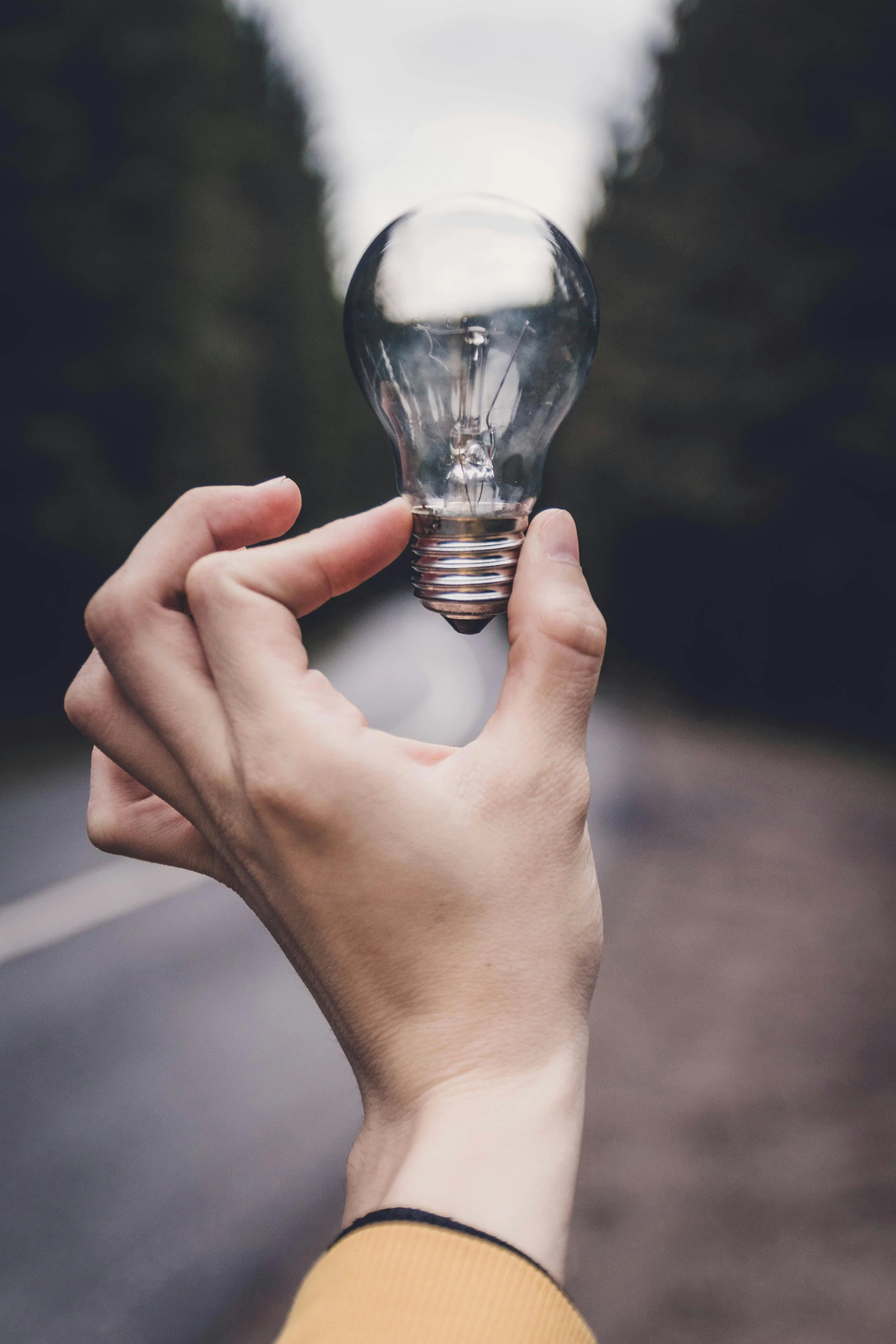 Person holding a clear lightbulb outdoors on a road with trees in the background.