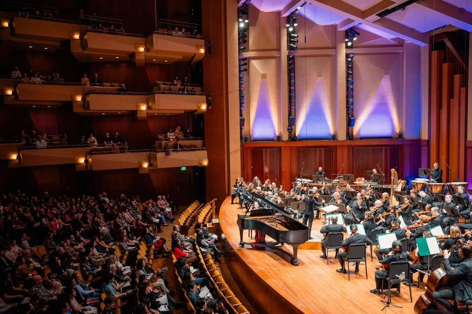 A large orchestra performing on stage in a concert hall filled with an audience.