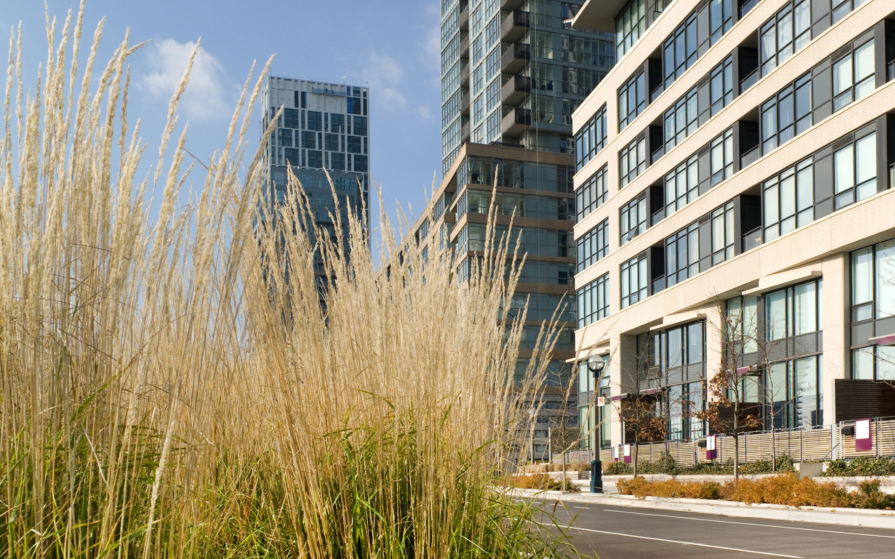 Toronto Condo Market Watch: Where Are the Best Entry Points for First-Time Investors?