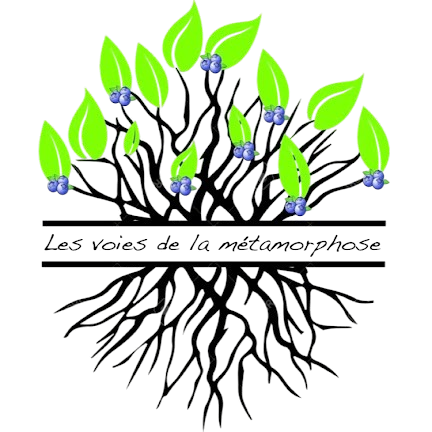 Accompagnement en coaching de vie – métamorphose, sens et évolution personnelle. Coaching de vie basé sur la méthode E-R – compréhension du sens des événements