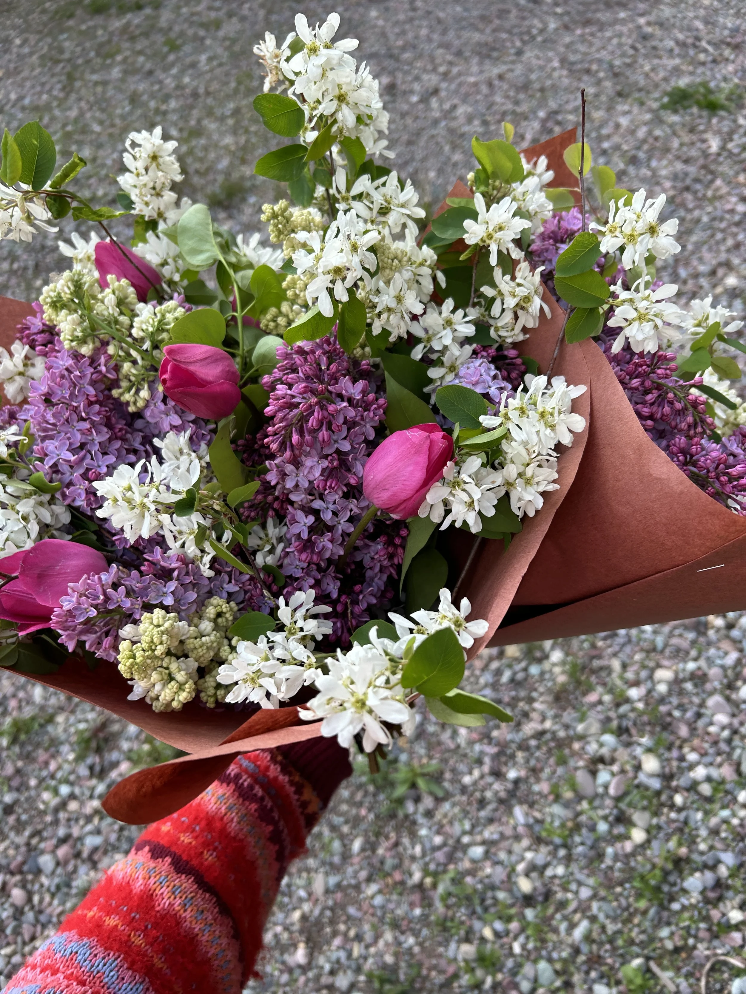 8 Week Market Wrap Subscription