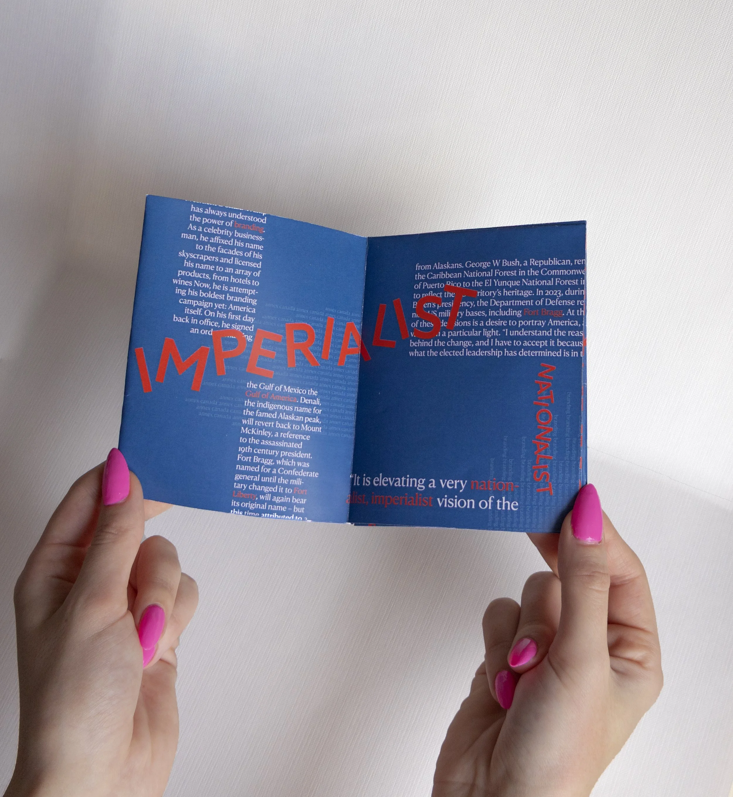 Zine-pages1.jpg