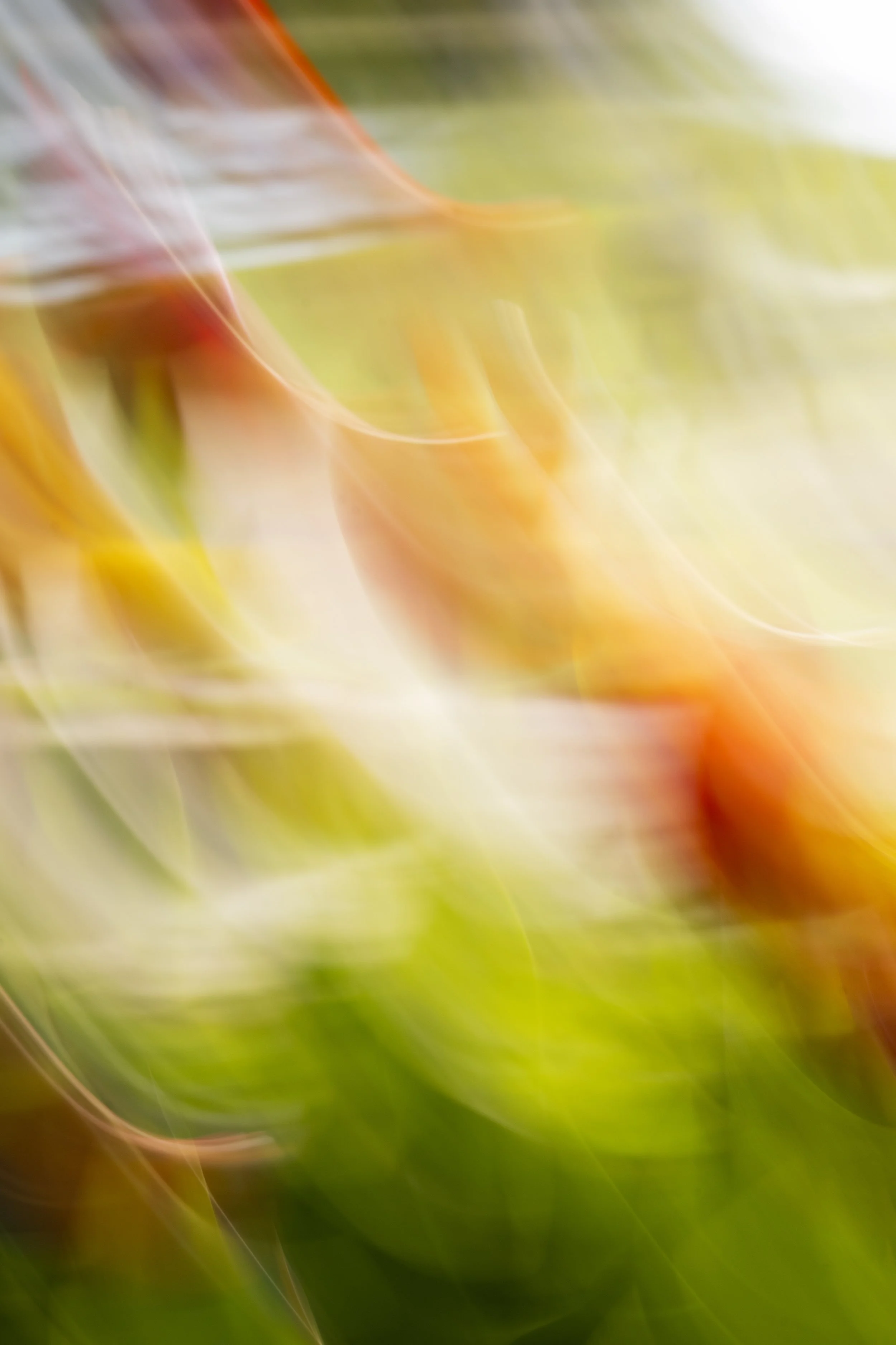 ART-332S_Dancing-Spring_Lackovic-Grace_03_Output copy.jpeg