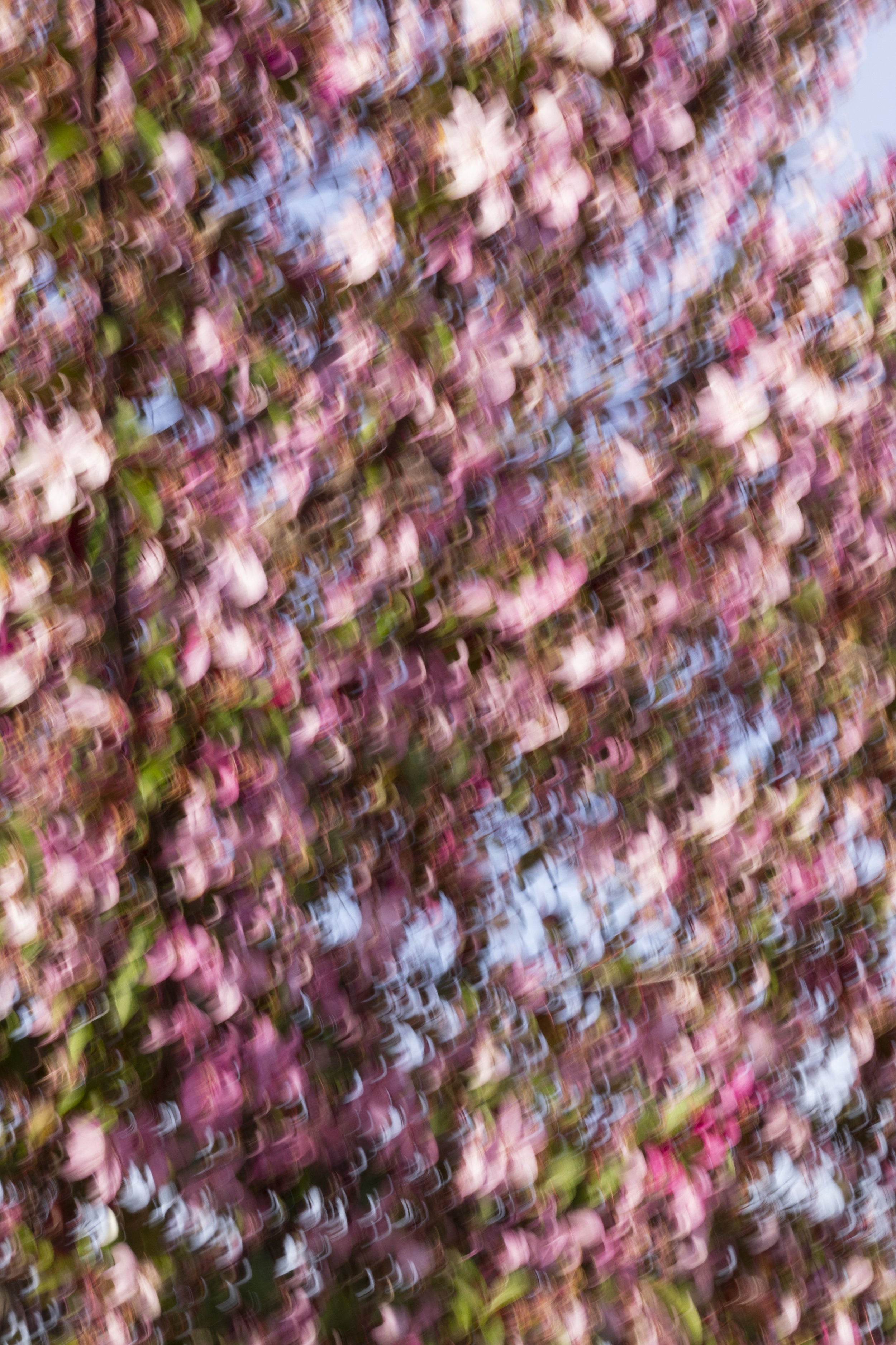 ART-332S_Dancing-Spring_Lackovic-Grace_06_Output copy.jpeg