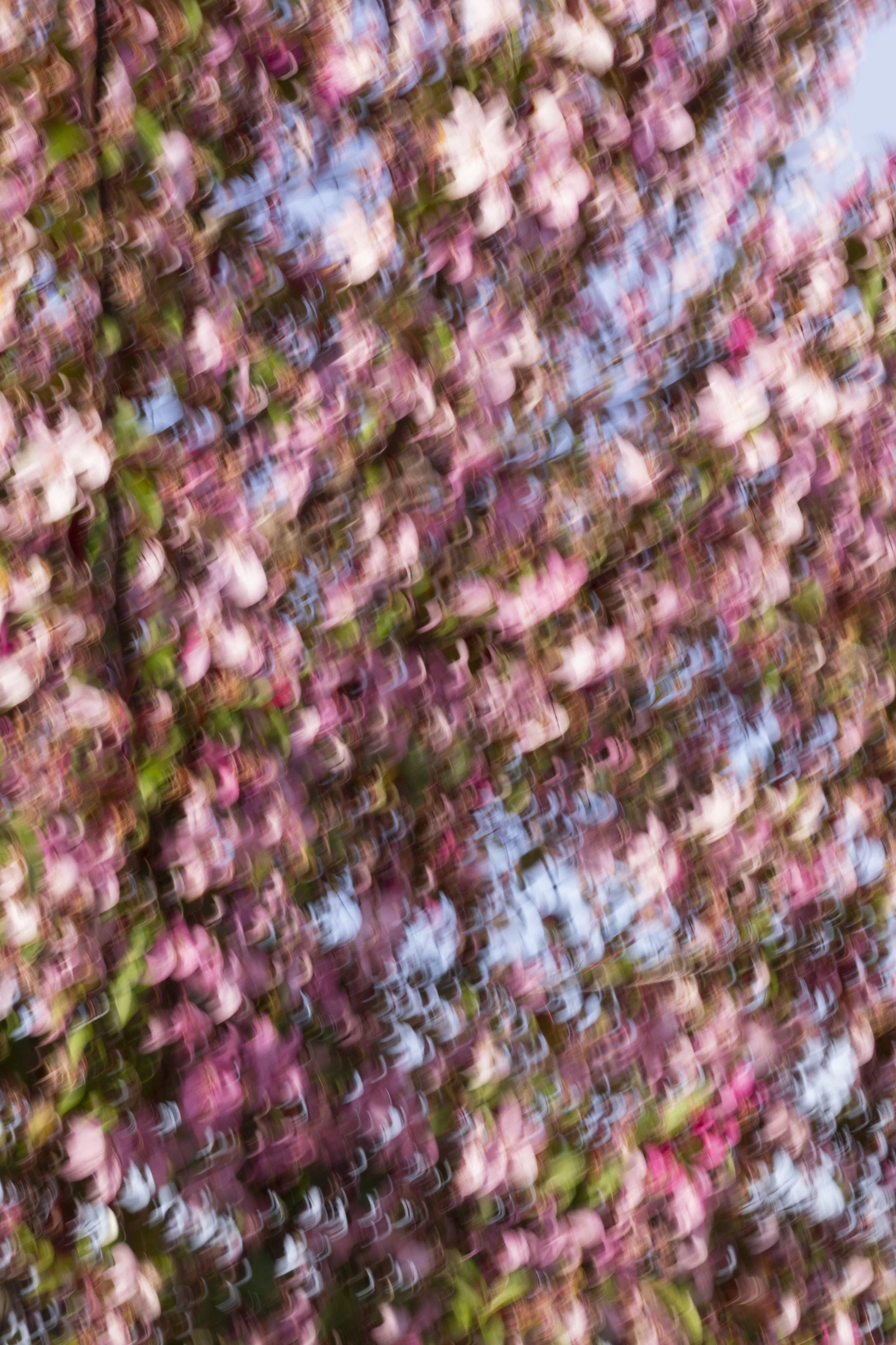 ART-332S_Dancing-Spring_Lackovic-Grace_06_Output copy 2.jpg