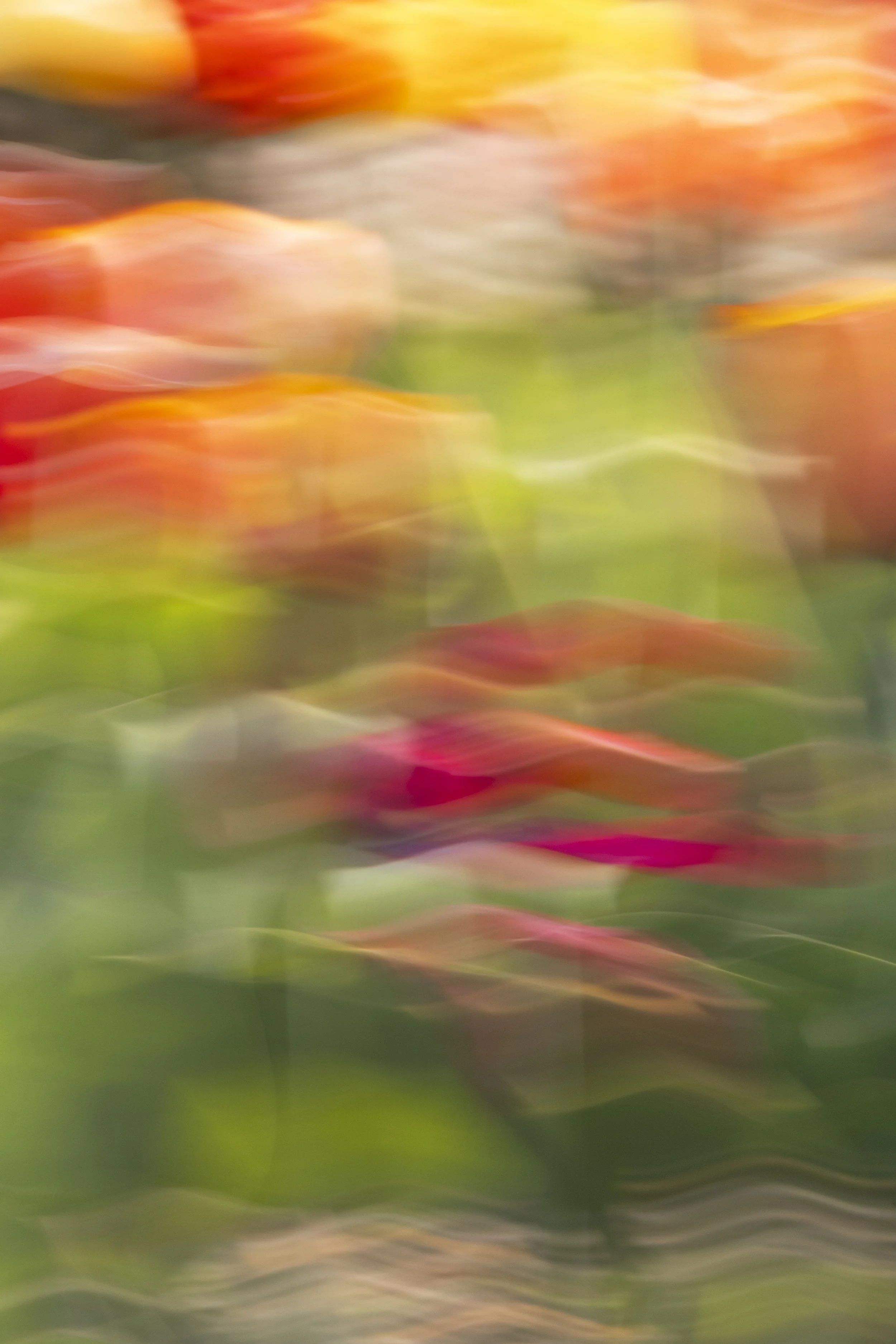 ART-332S_Dancing-Spring_Lackovic-Grace_04_Output copy.jpeg