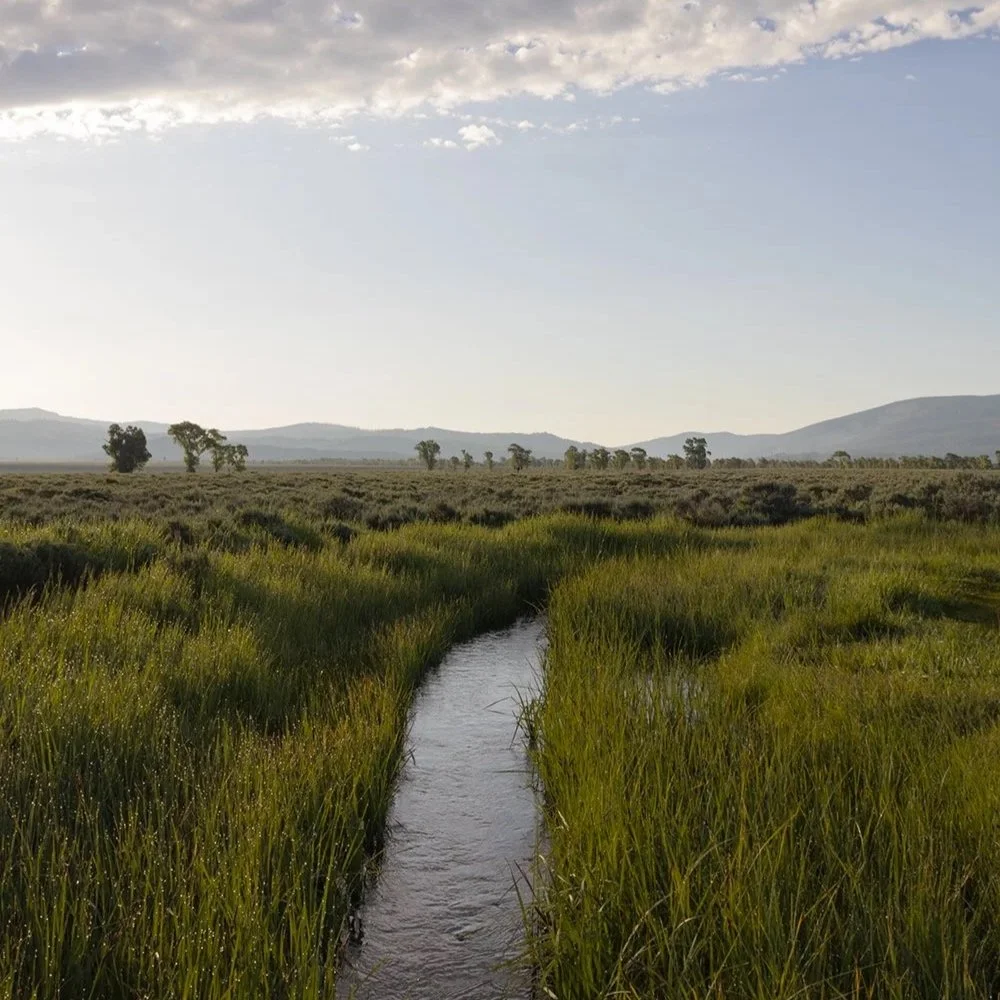 Wyoming