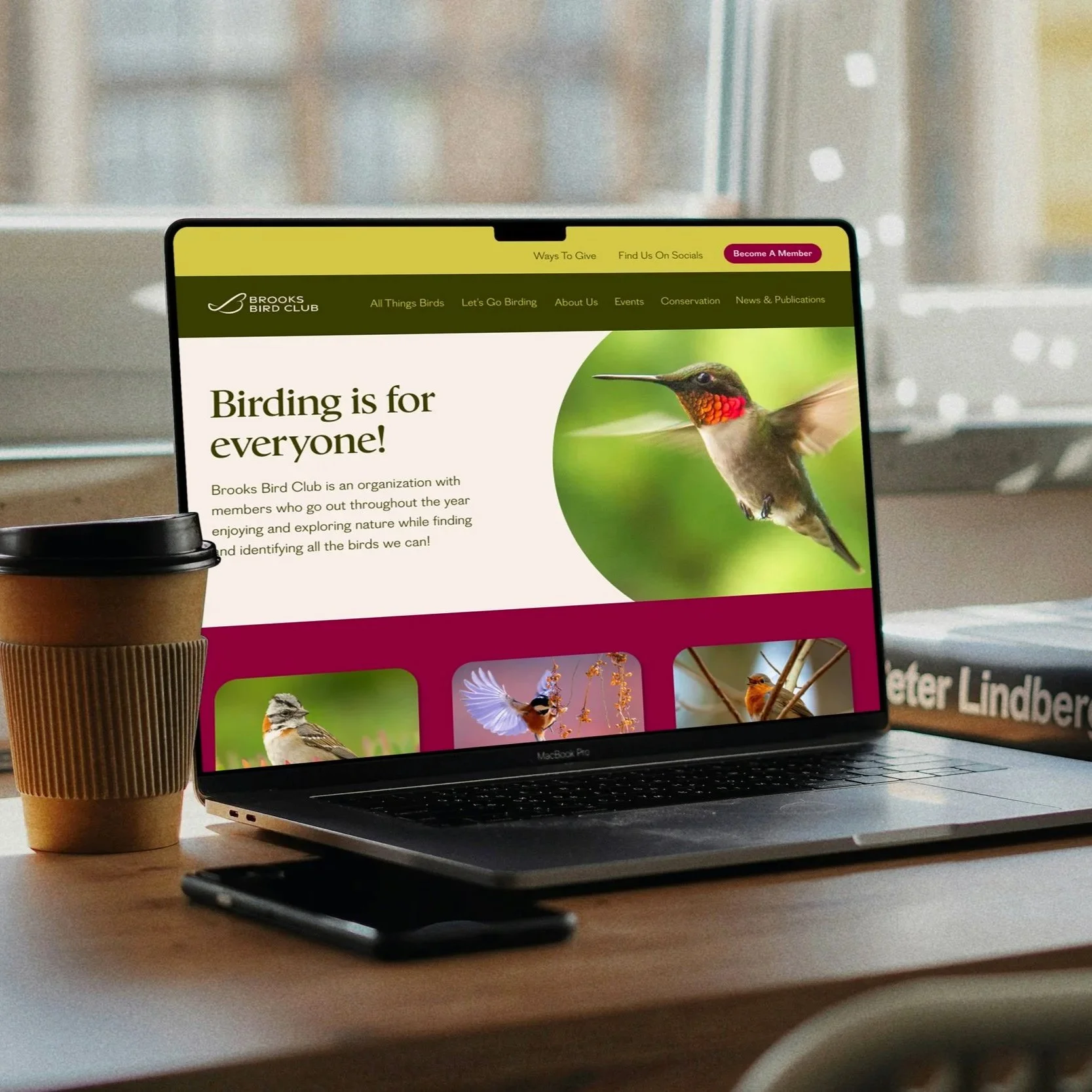 Website Redesign Concept